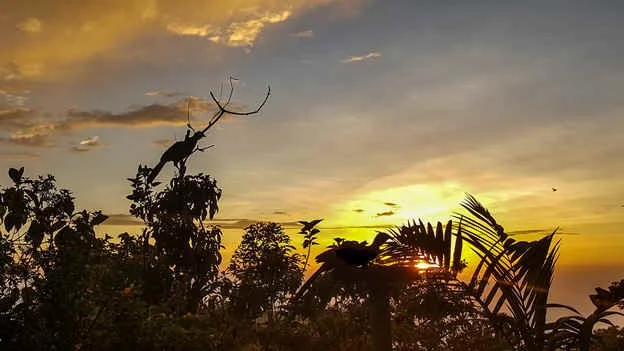 El Dorado Sunset (WN) 