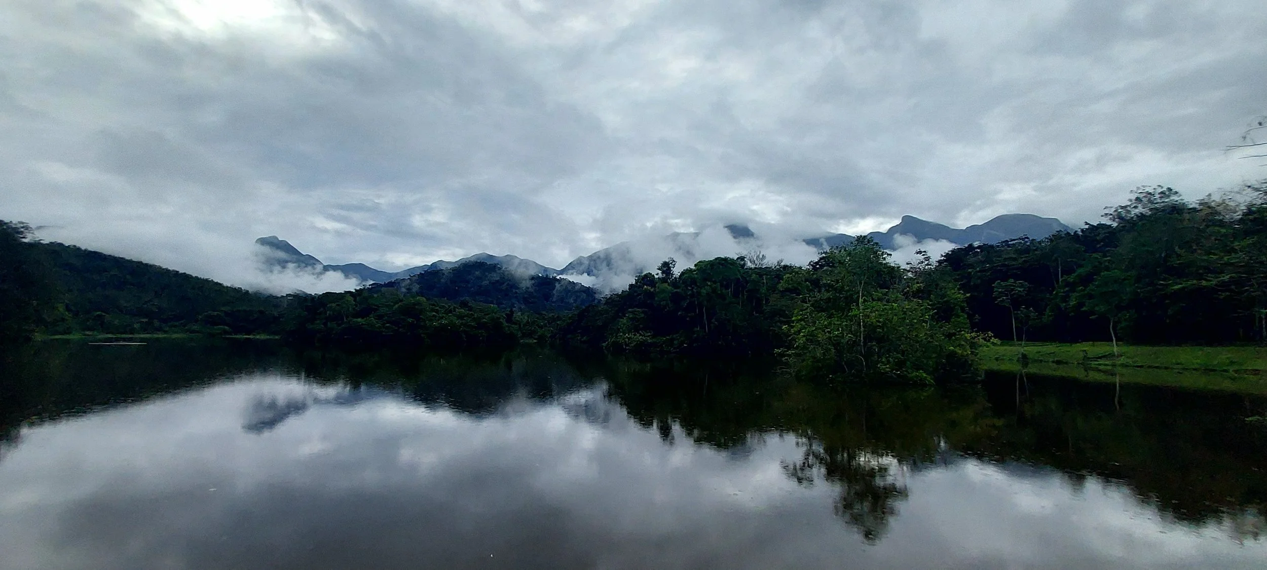 REGUA Wetlands, one of their many conservation success stories