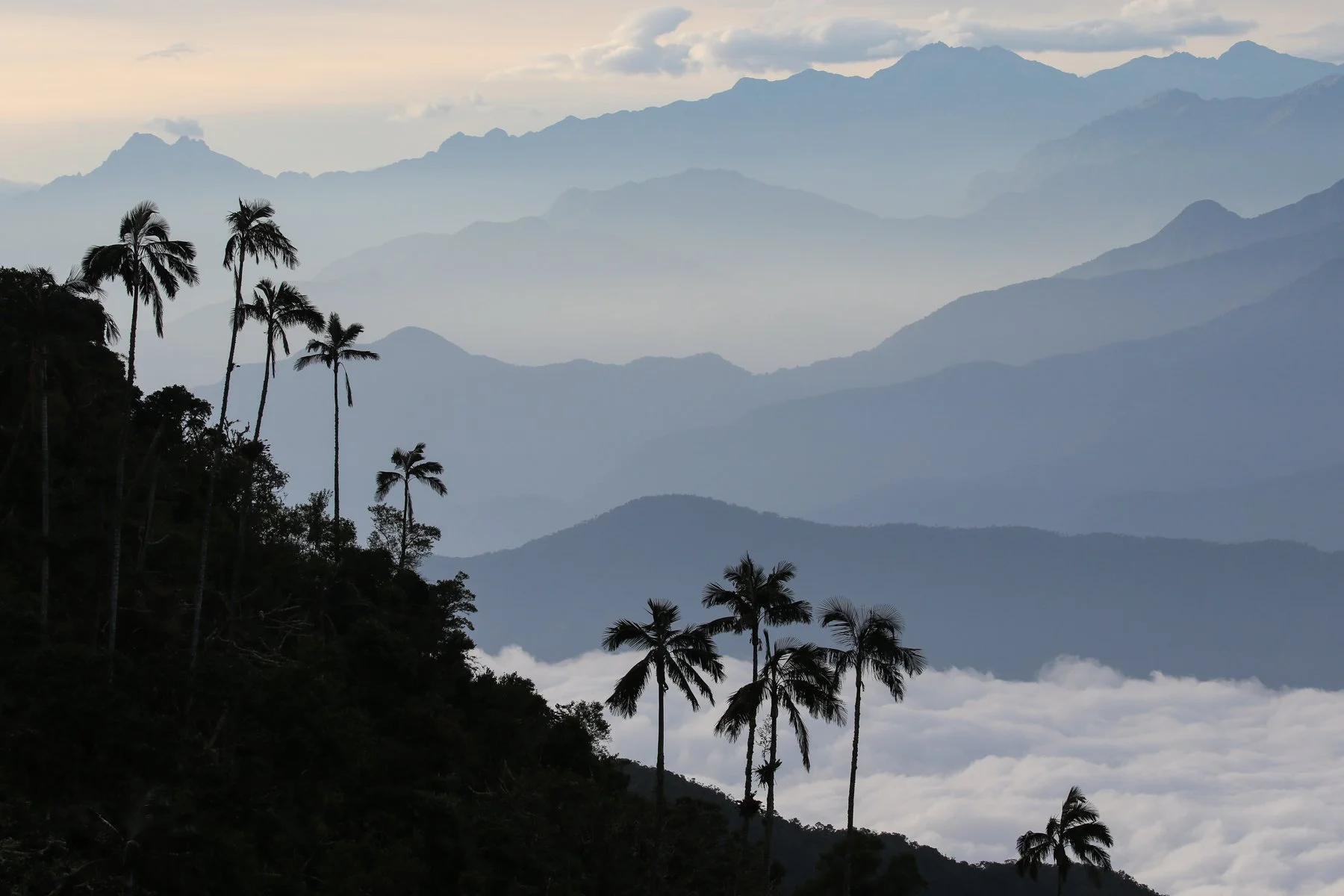 Sierra Nevada de Santa Marta, the highest point in the country.  (CA)  