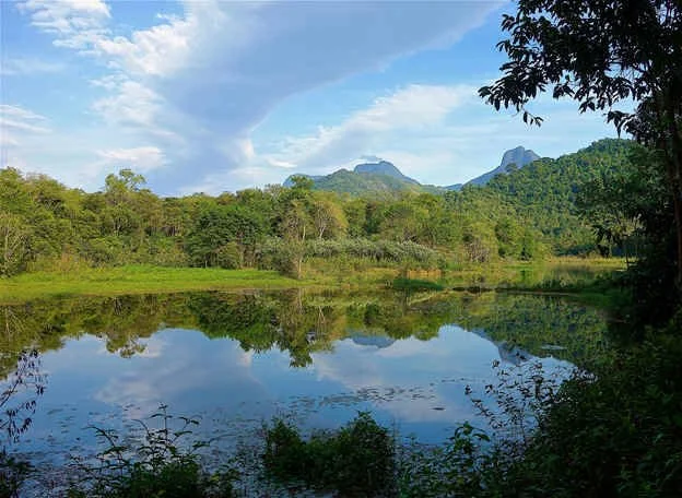 Guapiassu Wetland (NB)