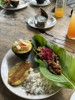 Lunch at Osprey Ecolodge
