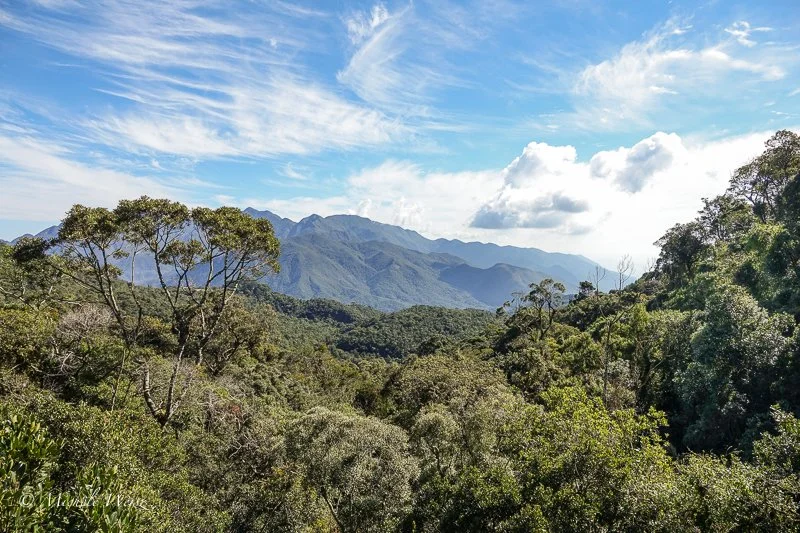 Itatiaia National Park (MW)