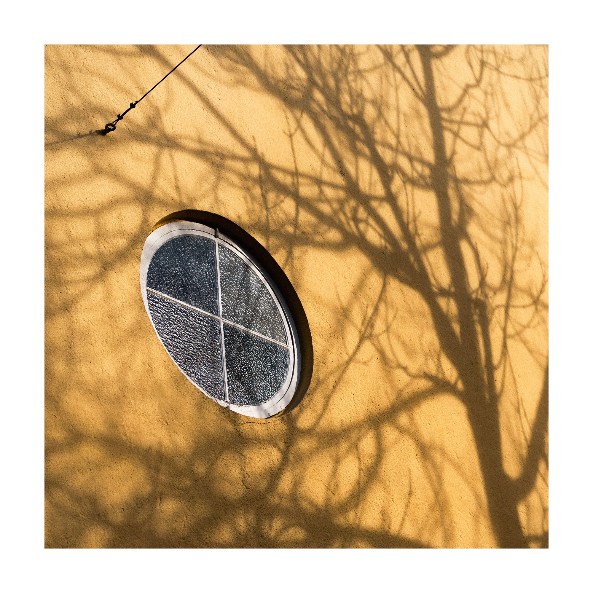 Odense #1 (2026)