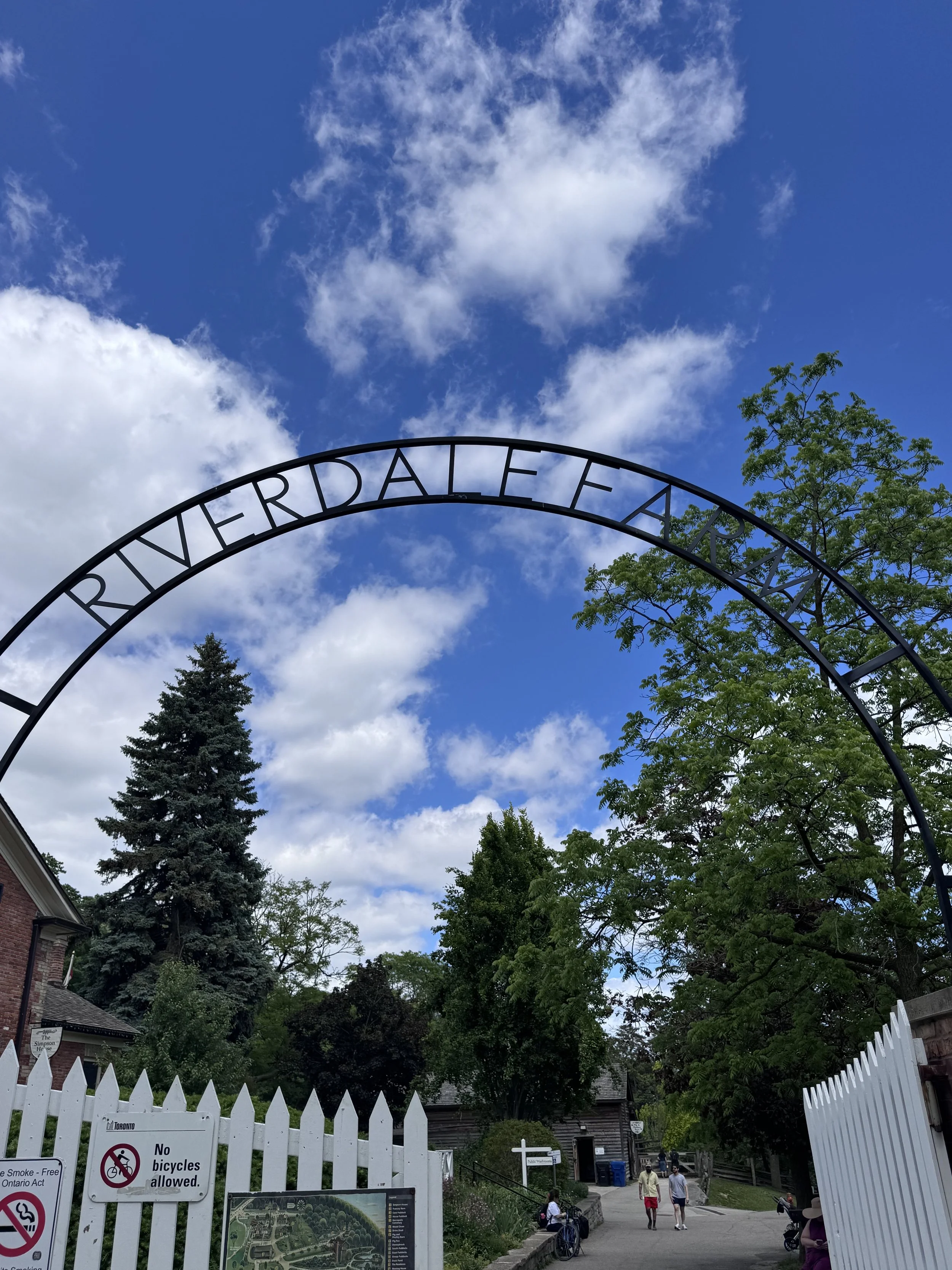 Exploring Cabbagetown