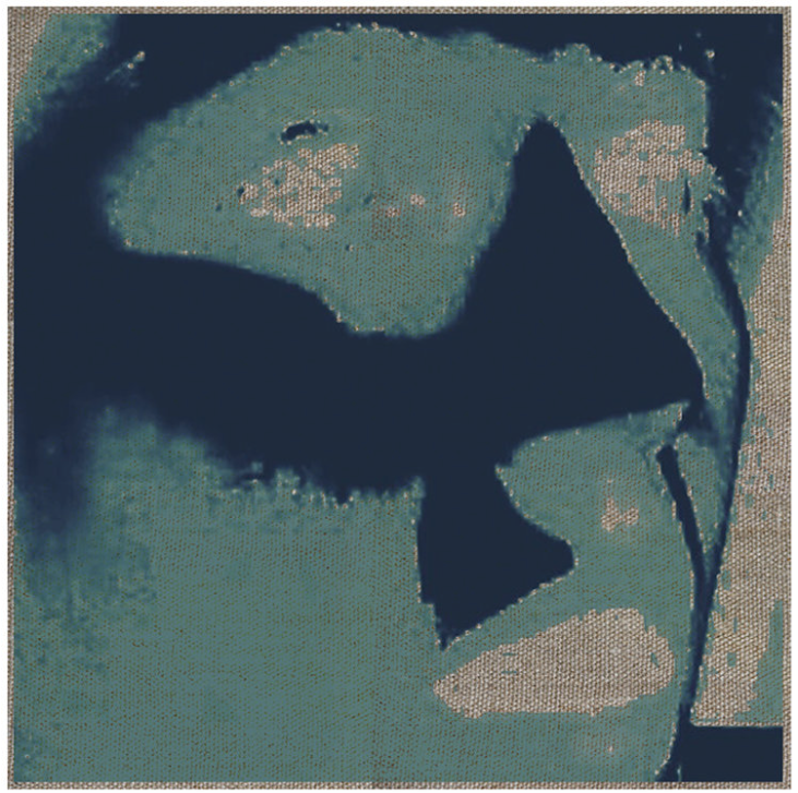 Screen Shot 2022-02-28 at 7.46.47 AM.png