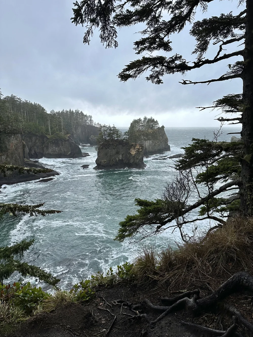 FullSizeRender-3 2.jpeg