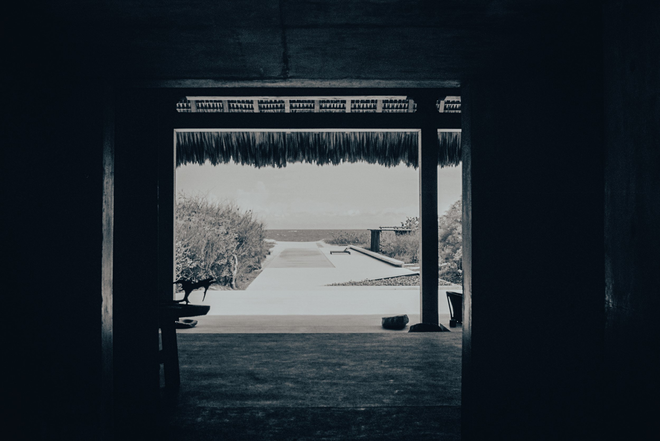 Test site-2.jpg