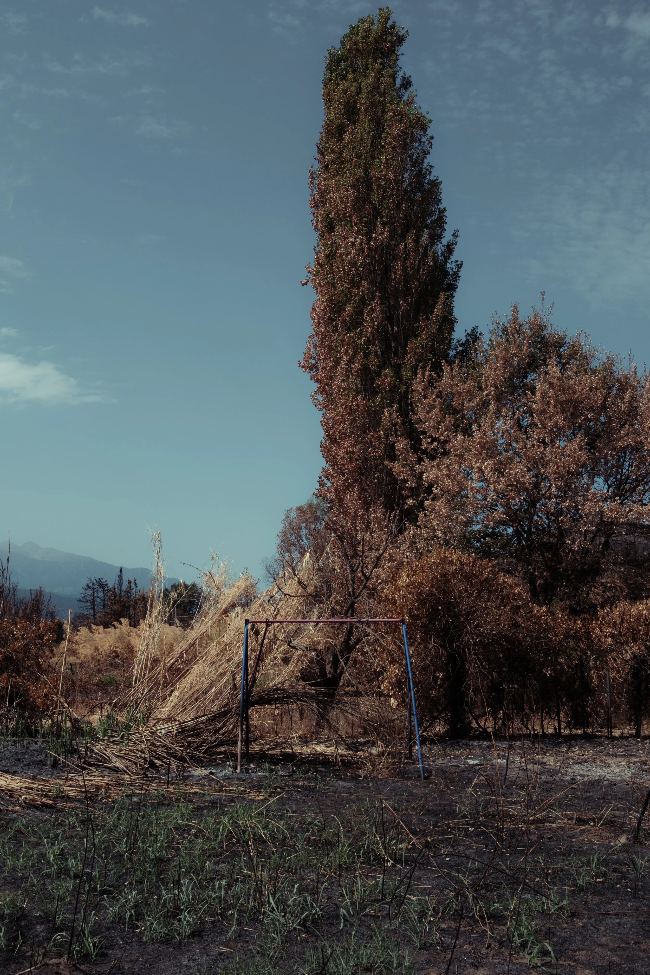 HL_LCANGUILHEM_INCENDIES_TREVILLACH_2026-1.jpg