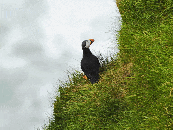 Campaign | Visit Faroe Islands