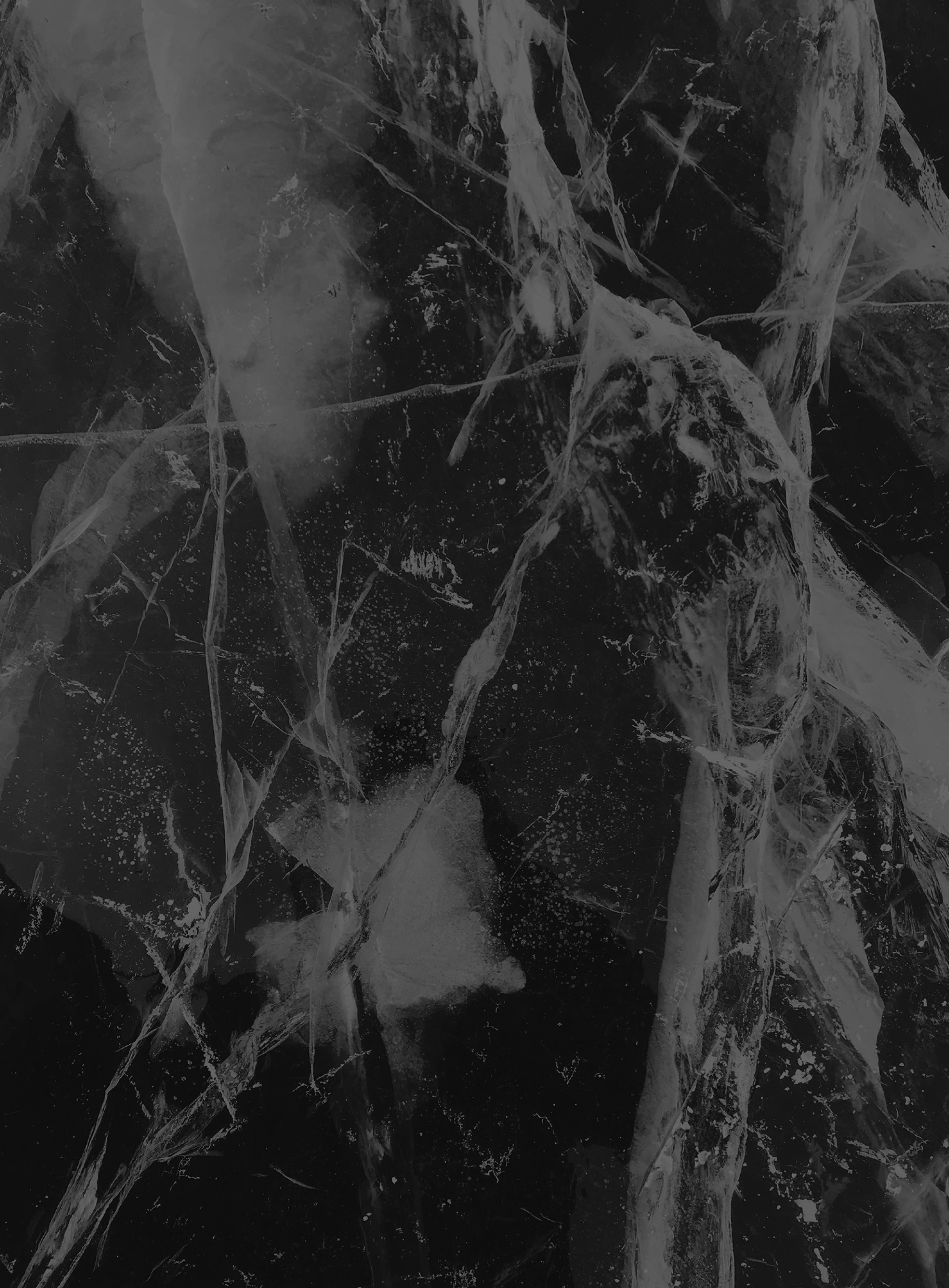Lux & Lav Aesthetics