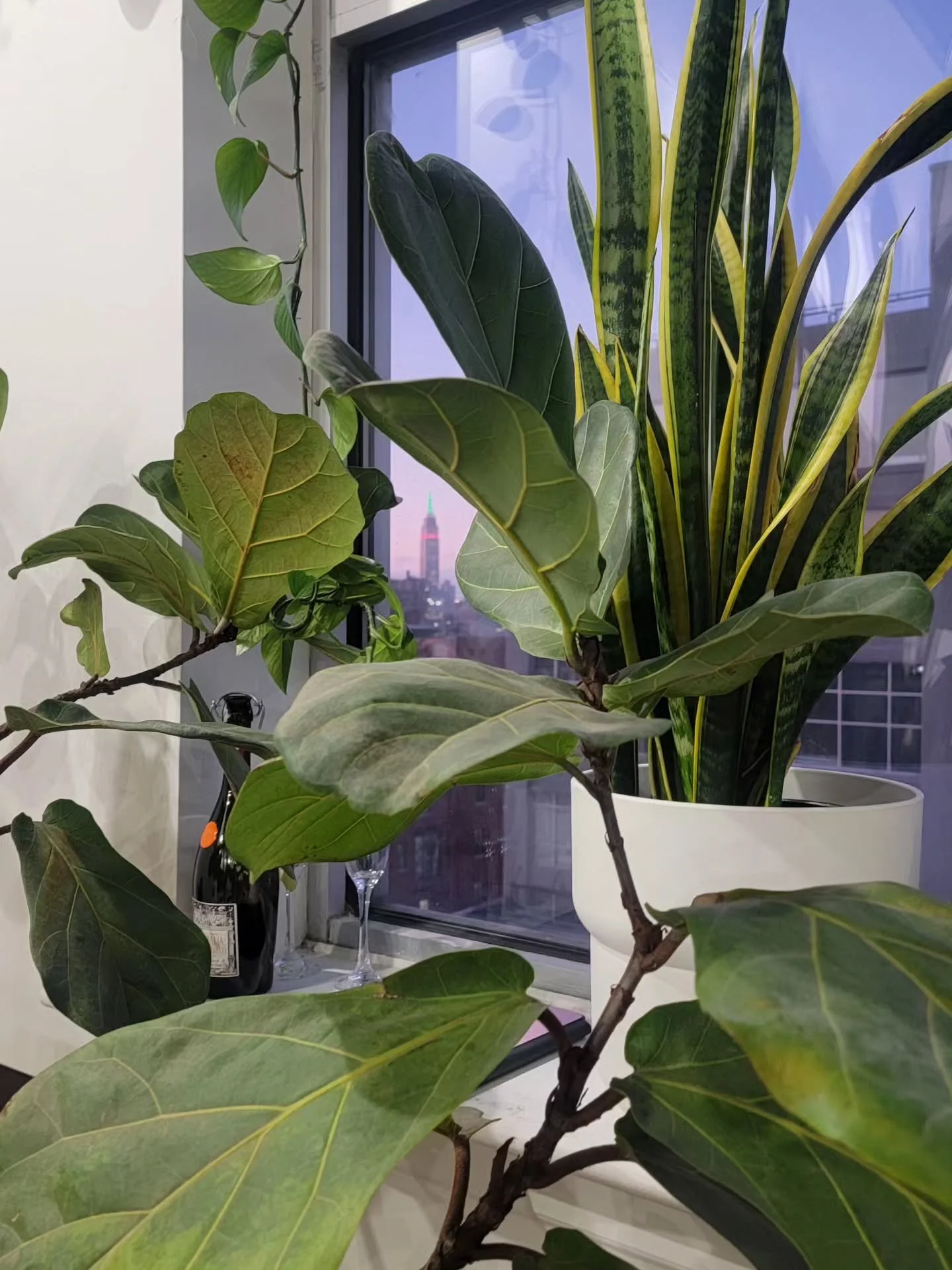 I had the pleasure of visiting @full.frontal.beauty and it is such a vibe!! I absolutely love it! If you're in the area, it's a much needed visit.✨️ 

Estheticians need an esthetician, too!🙏🏽

Kira grl, you are such a gem, and I'm grateful to have 