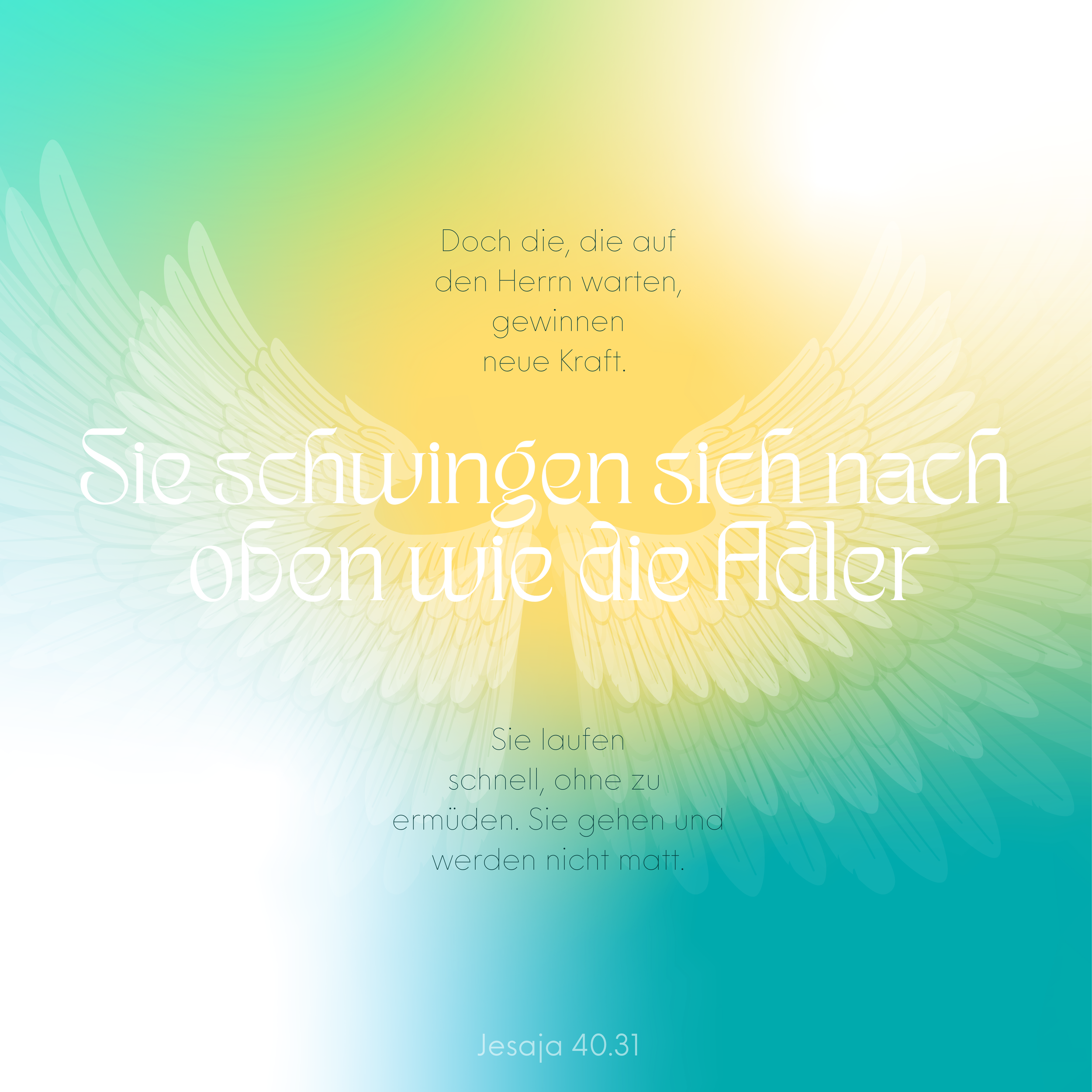 Neue Kraft - Delin Brander.PNG