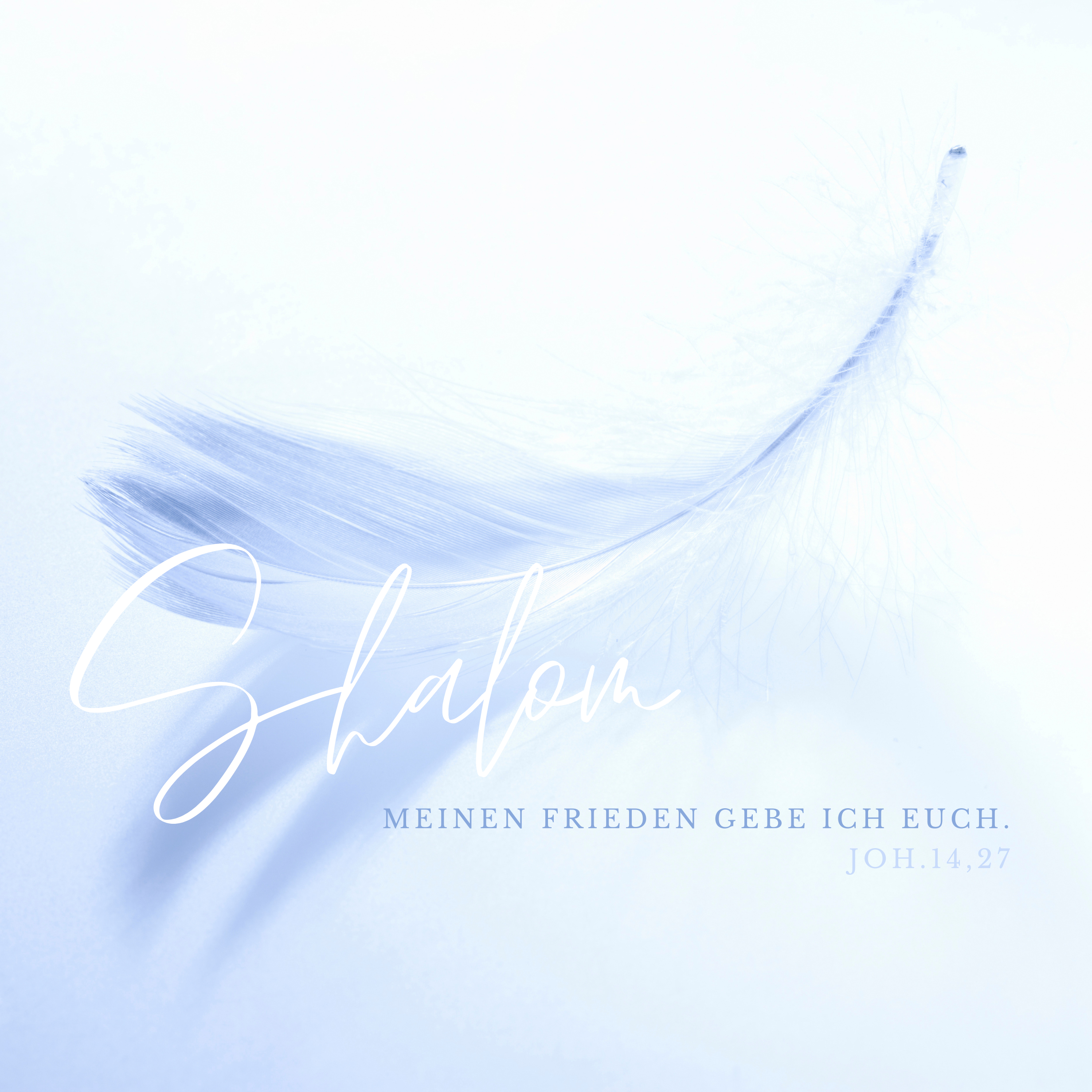 Meinen Frieden gebe ich euch - Delin Brander.PNG