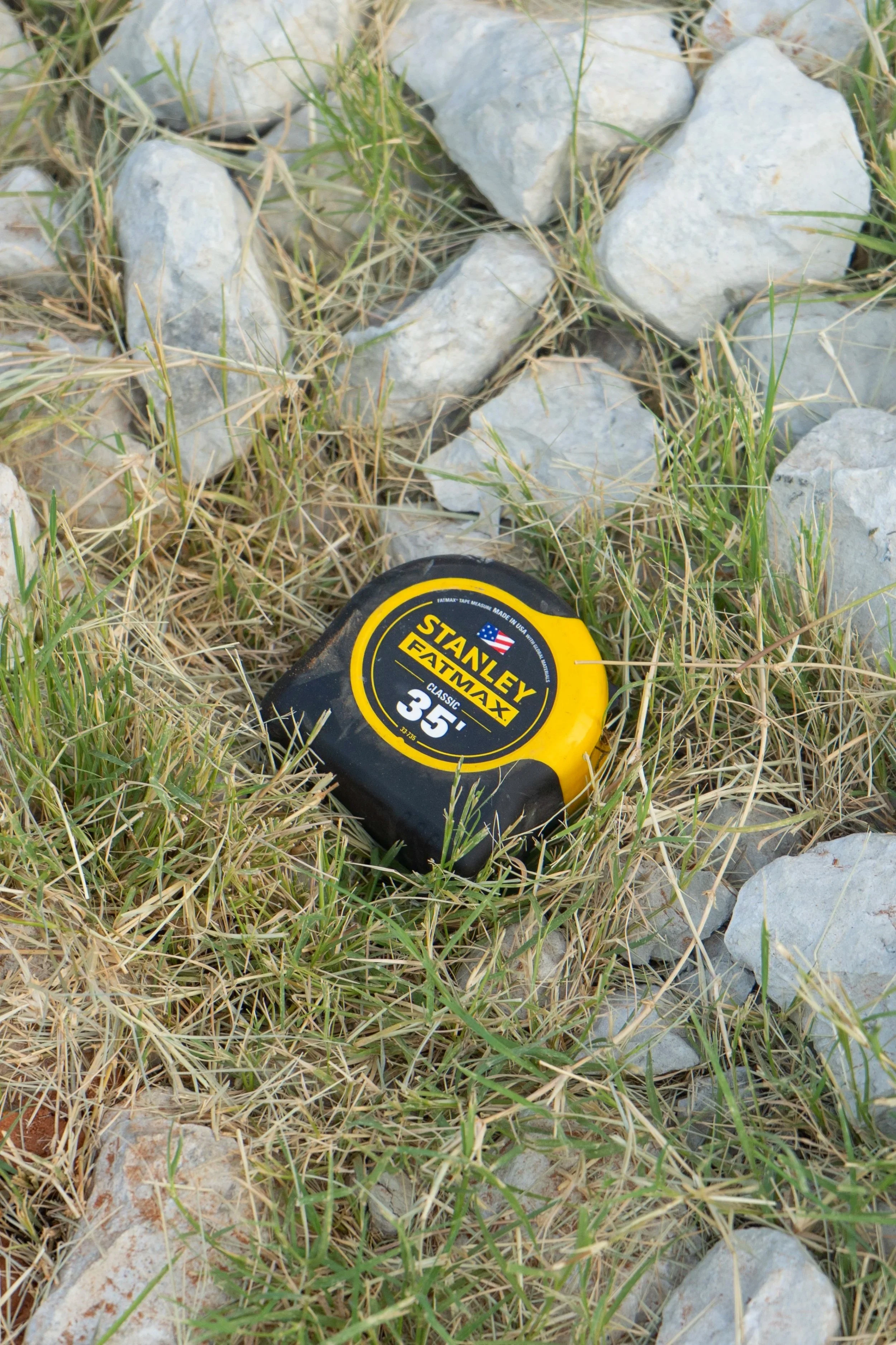 NeelaP.26-7309644.jpg