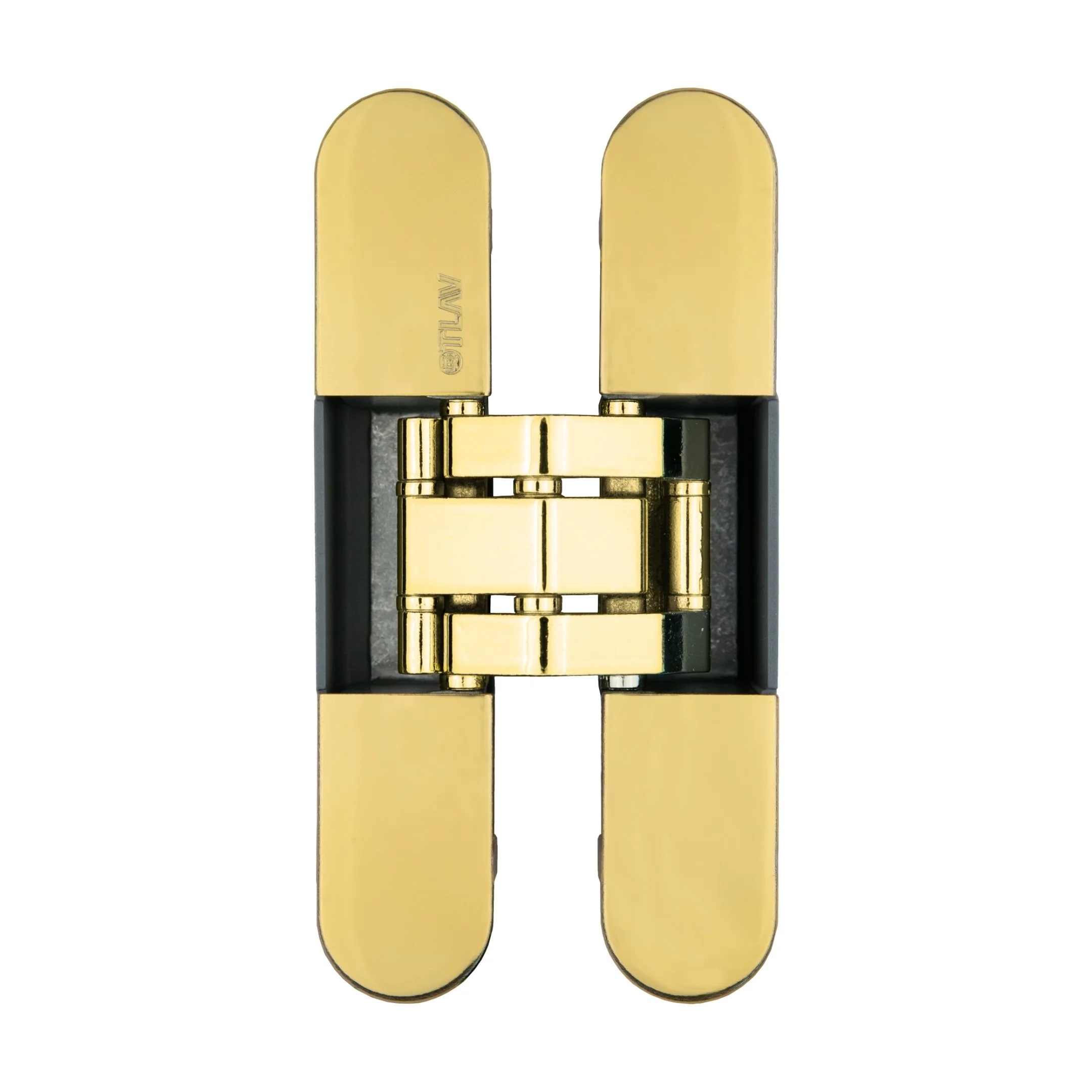 Gold Hinge.jpg