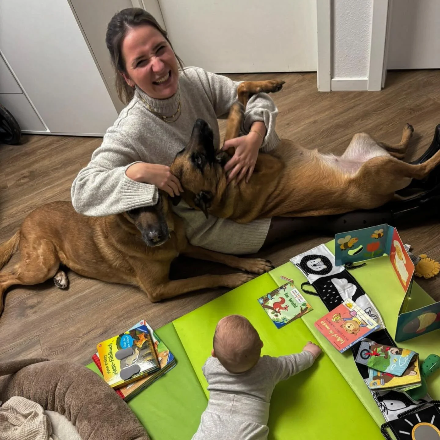 Heute: Bauchlage f&uuml;rs Baby, R&uuml;ckenlage f&uuml;r die Hunde, Lachanfall f&uuml;r die Hebamme ✨🫶🏼🩷 #waseinsch&ouml;nertag #beikosteinf&uuml;hrung #hebammew&uuml;rzburg