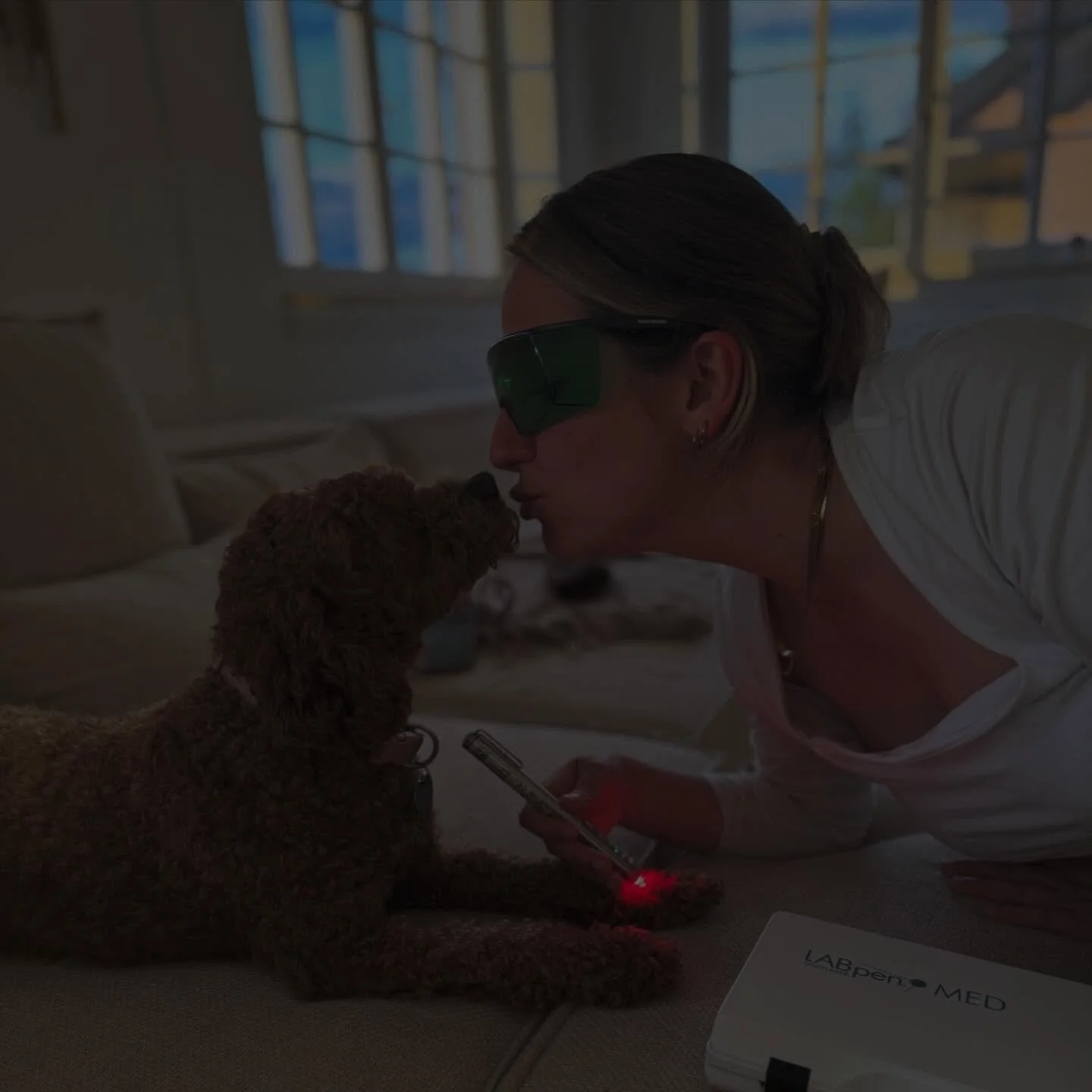 Abendroutine mit meiner kleinen Patientin 🐶✨

Meine Emma bekommt gerade ihre Softlaser-Therapie @labpen_med_softlaser f&uuml;r ihren schmerzenden Fu&szlig; &ndash; eine sanfte, schmerzfreie Anwendung, die auch bei Tieren schonend eingesetzt werden k