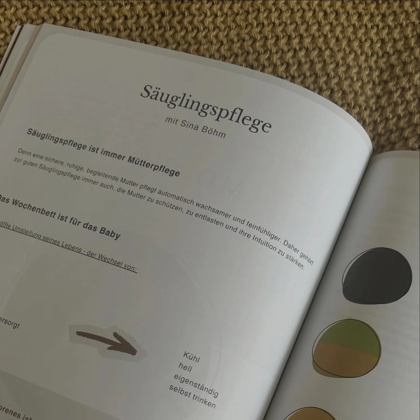 Ich freue mich sehr, die Ausbildung von Mamakompass @mamakompass zur M&uuml;tterpflegerin zu unterst&uuml;tzen 🤍

M&uuml;tterpflegerinnen begleiten Familien rund um Schwangerschaft, Geburt und Wochenbett. Sie unterst&uuml;tzen dort, wo im Familienal