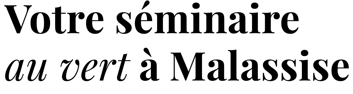 Texte en français : "Votre séminaire au vert à Malassise" en lettres noires sur fond blanc.