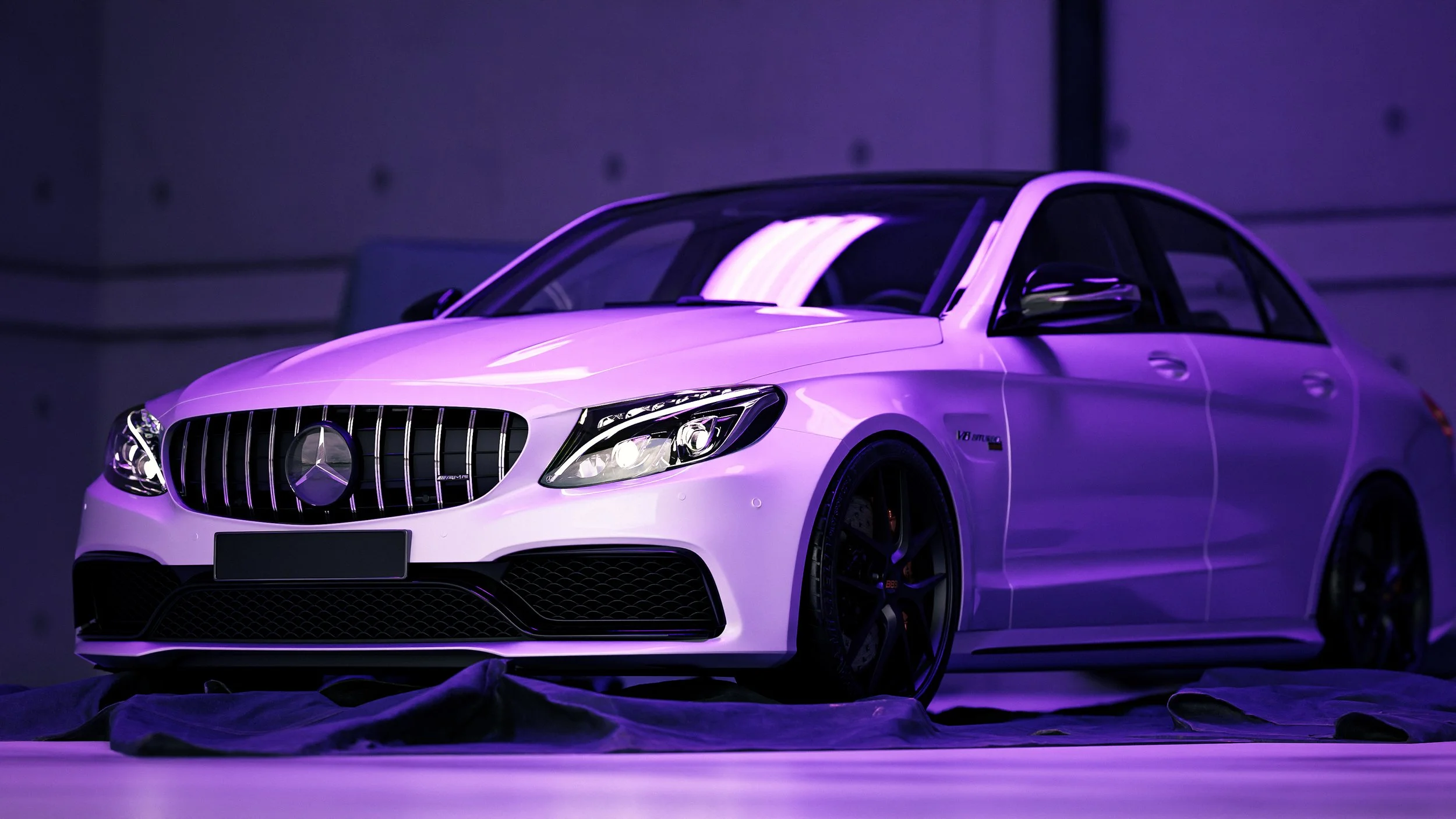 PurpleMerc-2.jpg