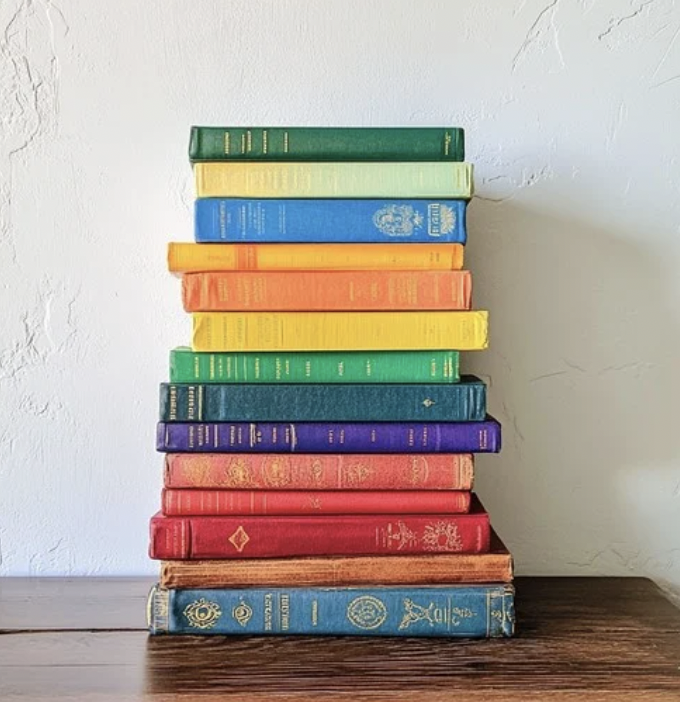 Novel Camp Premium Book Package