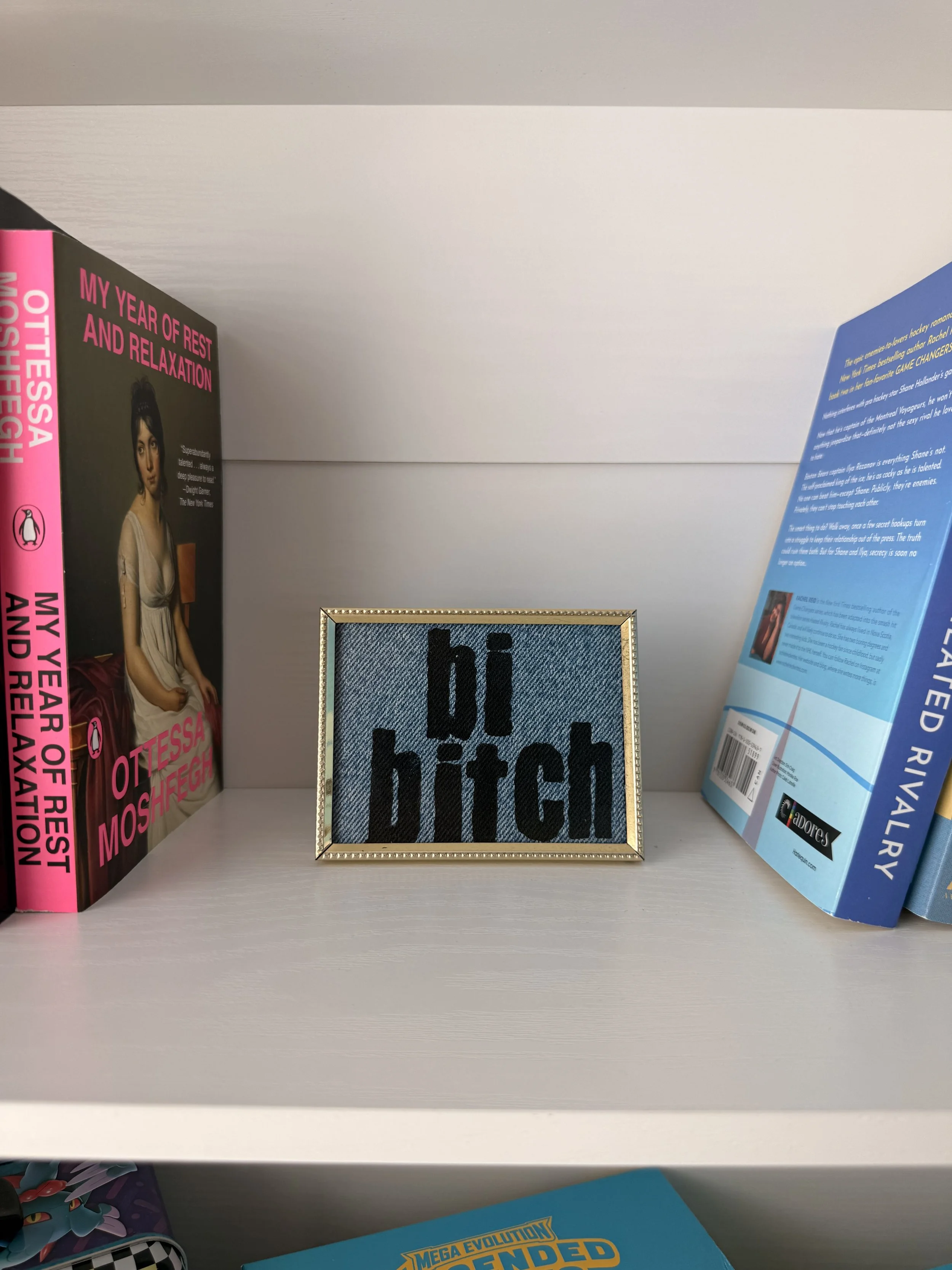 3.5x4.5 "bi bitch" frame