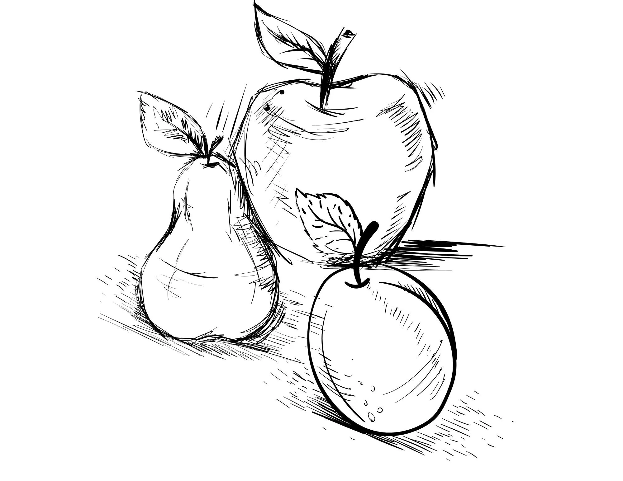 Sketching Class