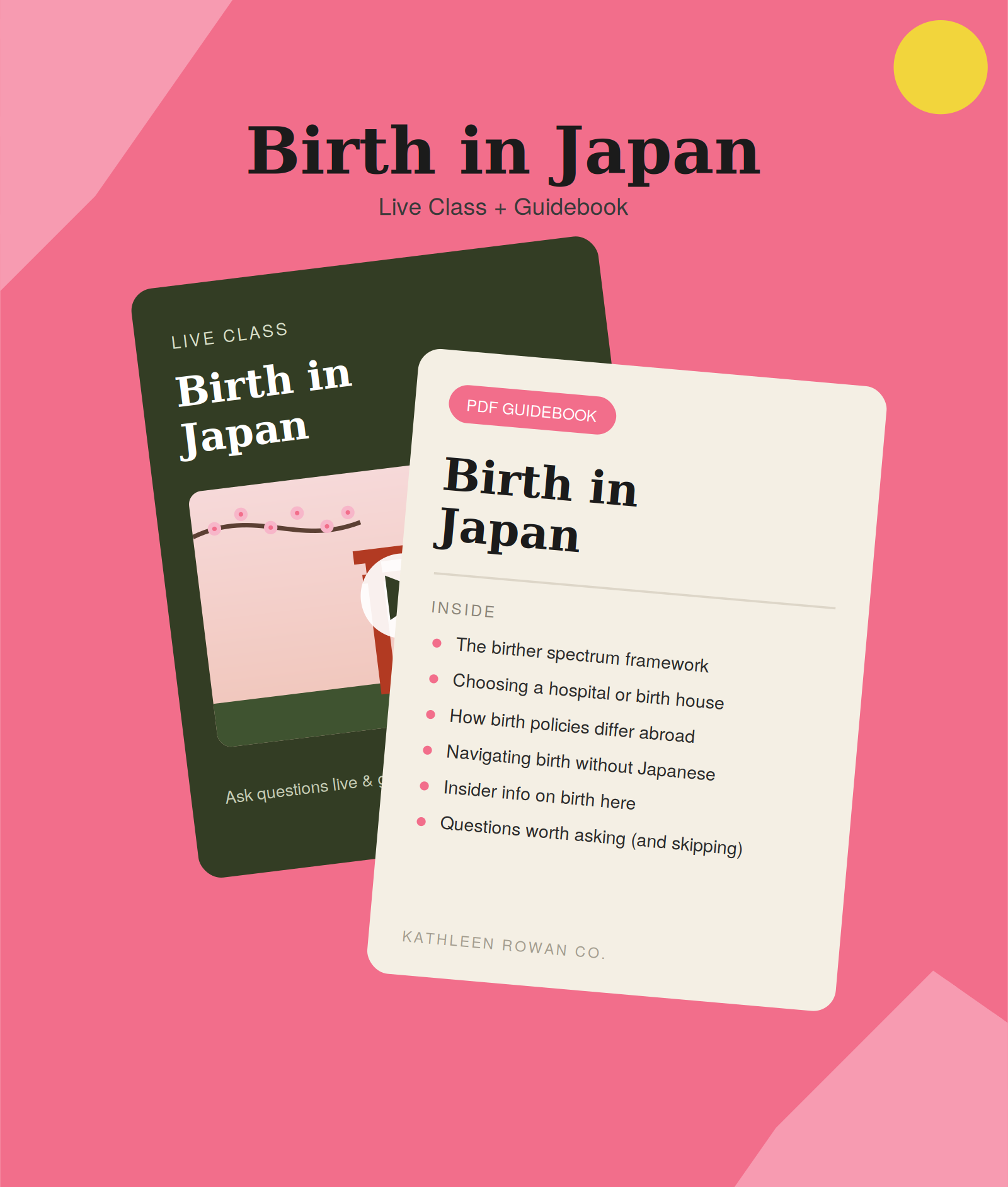 birth_in_japan_class.png