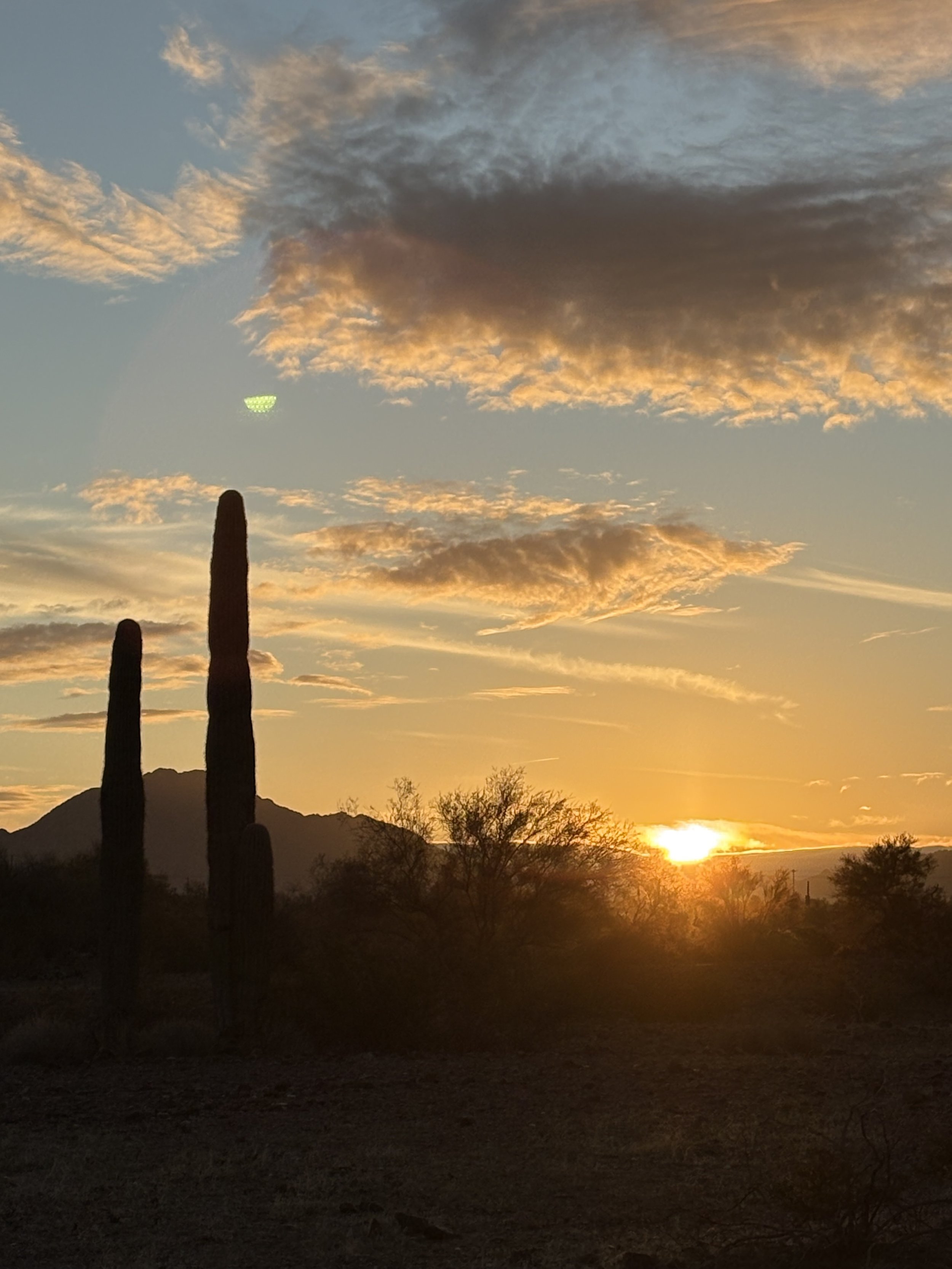 A Reflection From the Desert