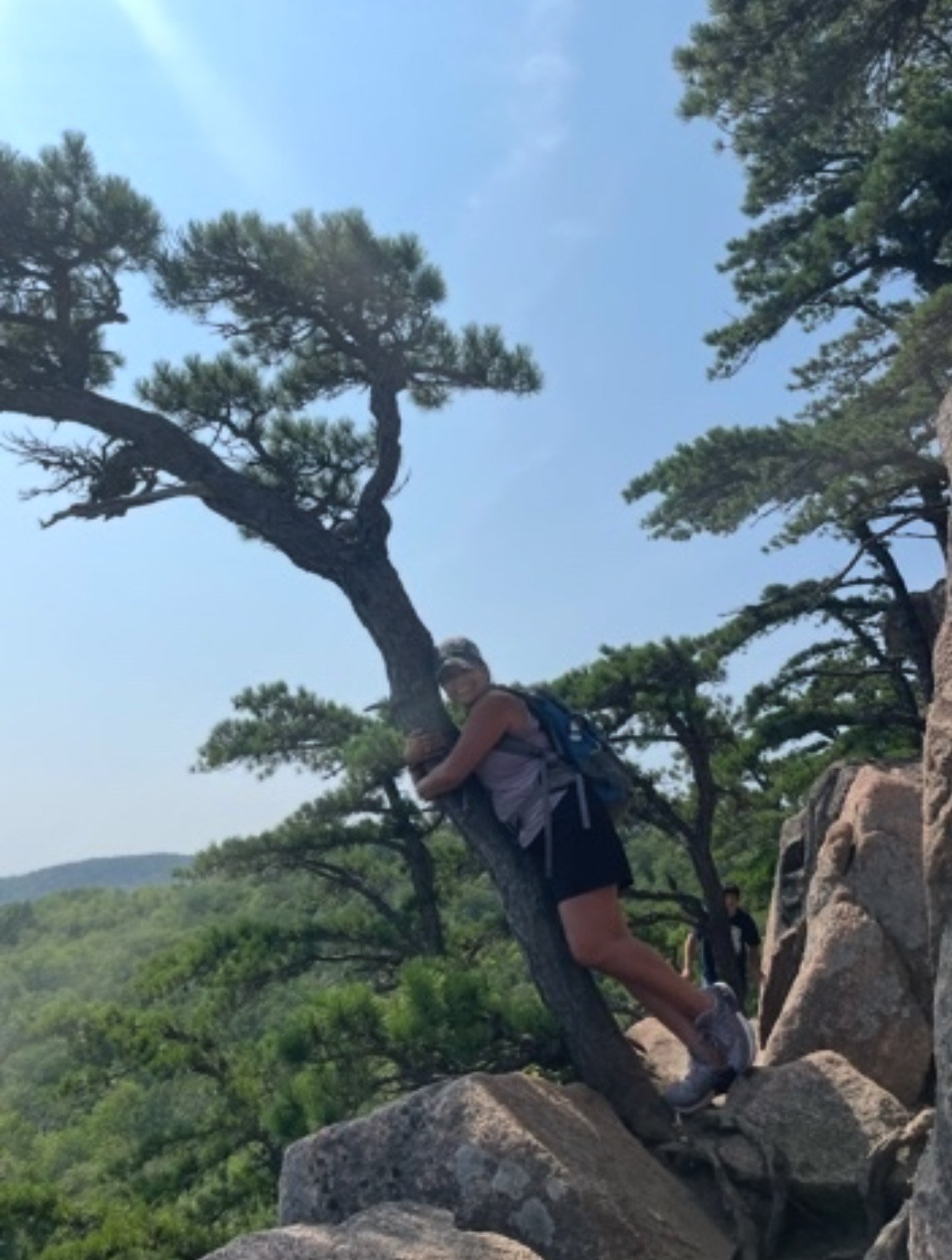 Person hugging a tree on a rocky hillside with a backpack and wearing a cap, surrounded by pine trees and mountains under a clear blue sky.