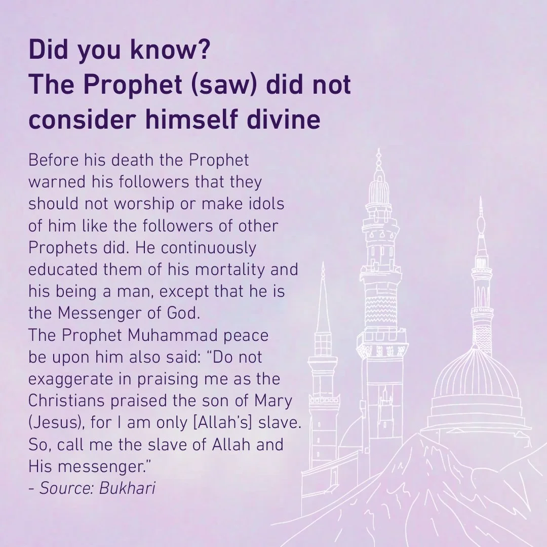 Timeline 2 white .jpg