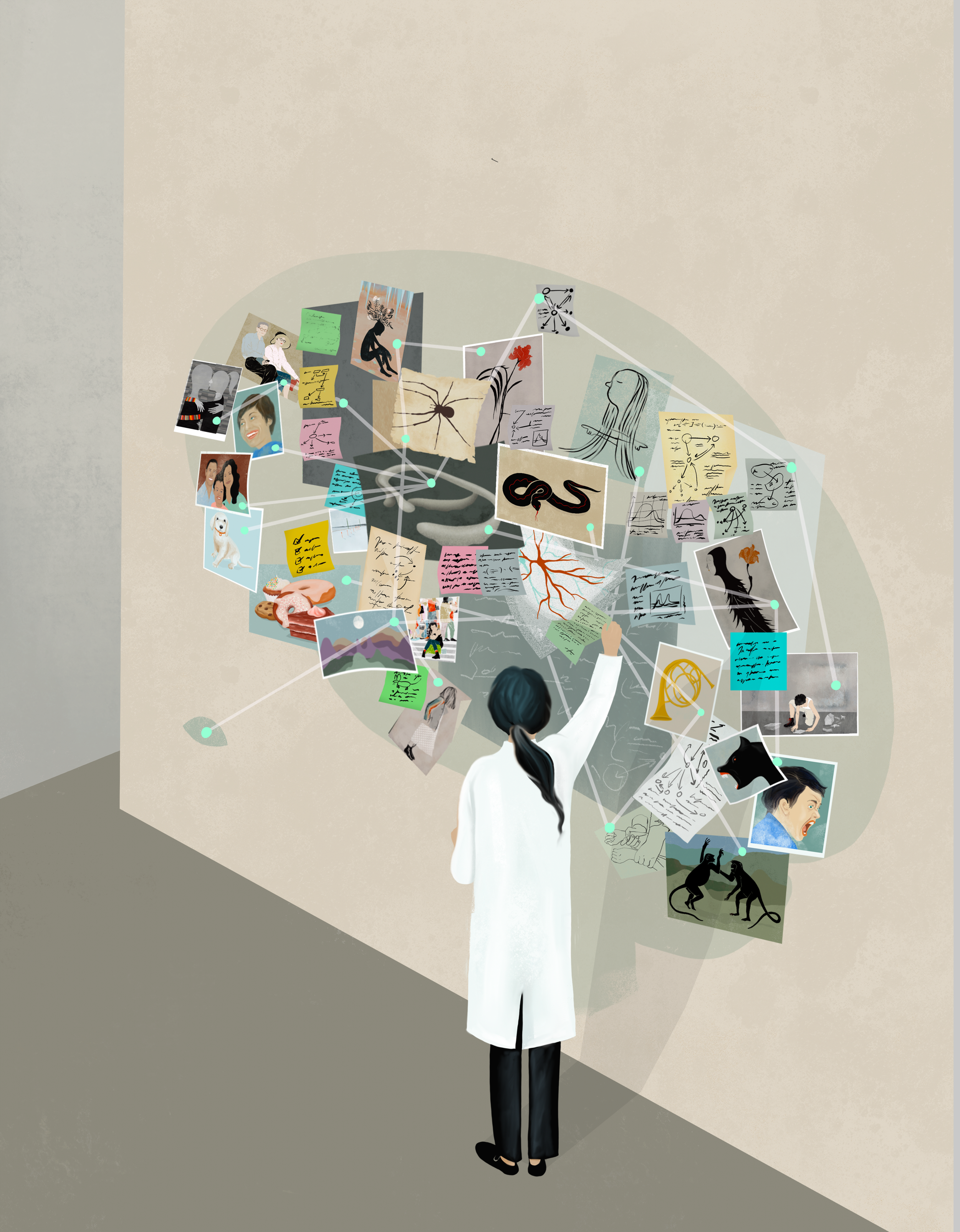 The tricky business of defining brain functions