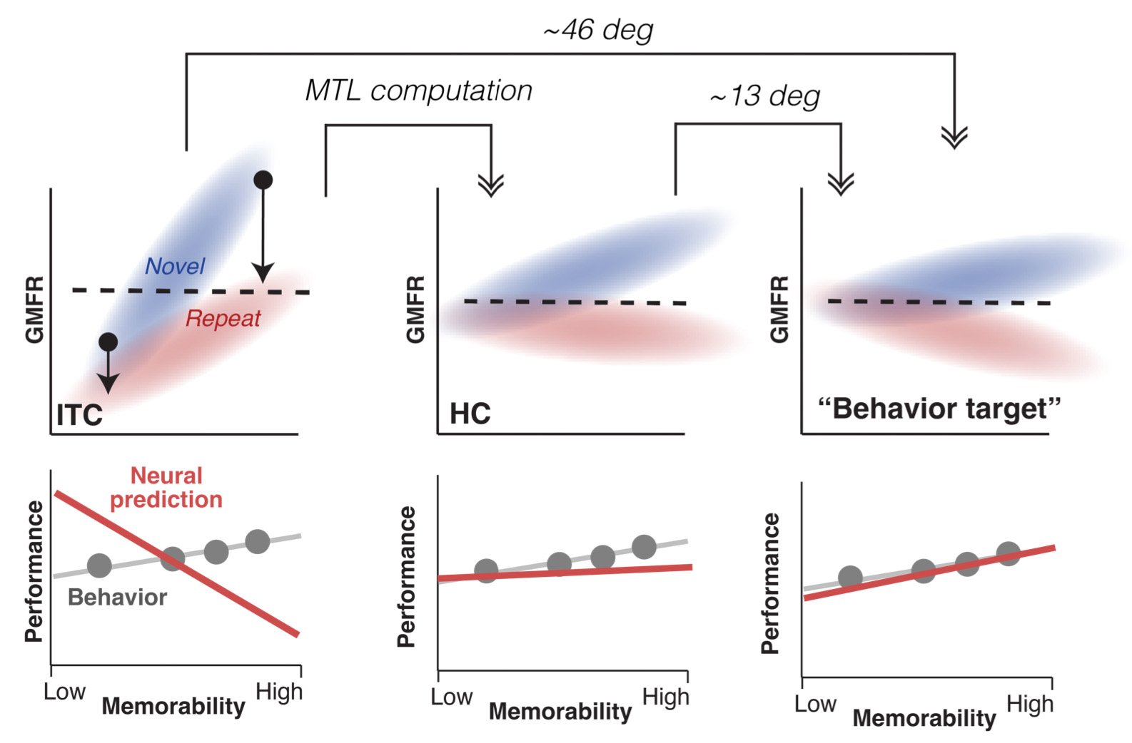 Resolving a paradox about how vision is transformed into familiarity