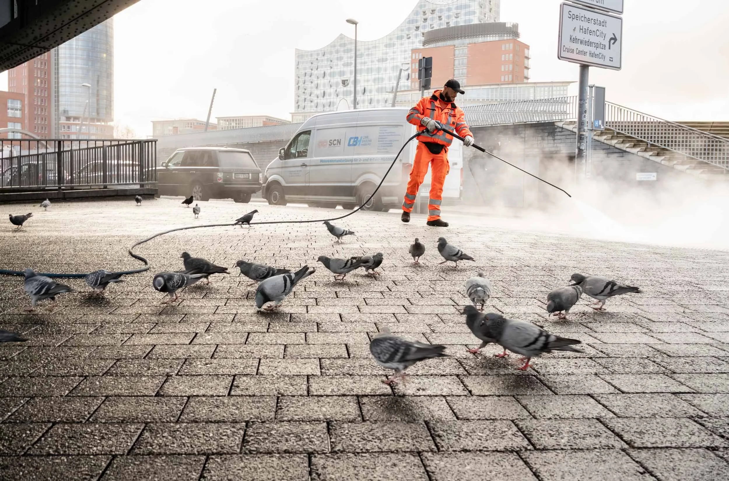 5733-30-01-2023-Hochdruckreiniger-Tauben.JPG