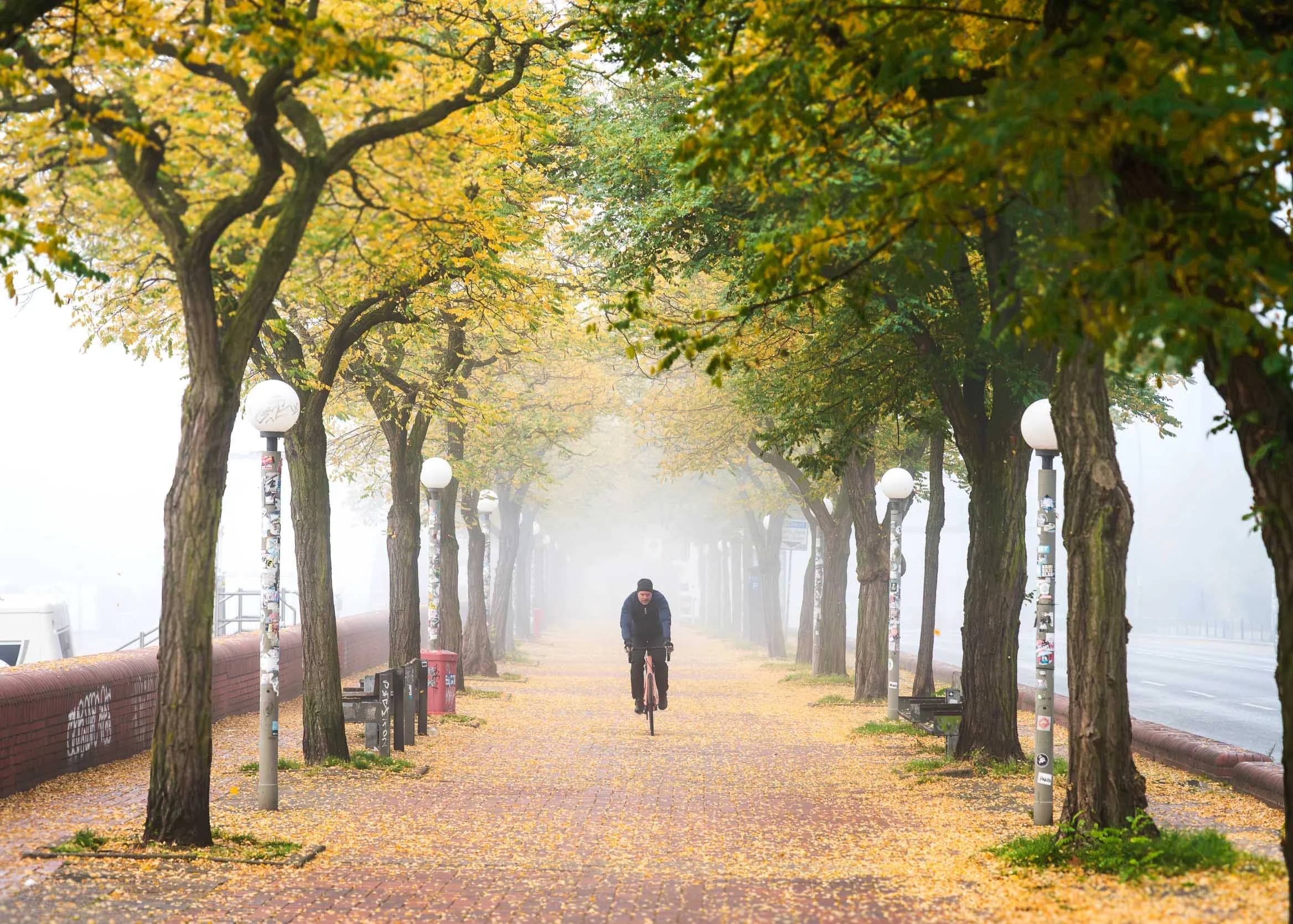 Ein Radfahrer im Nebel - Hamburg, Fischmarkt, Hamburg, Kunstdrucke