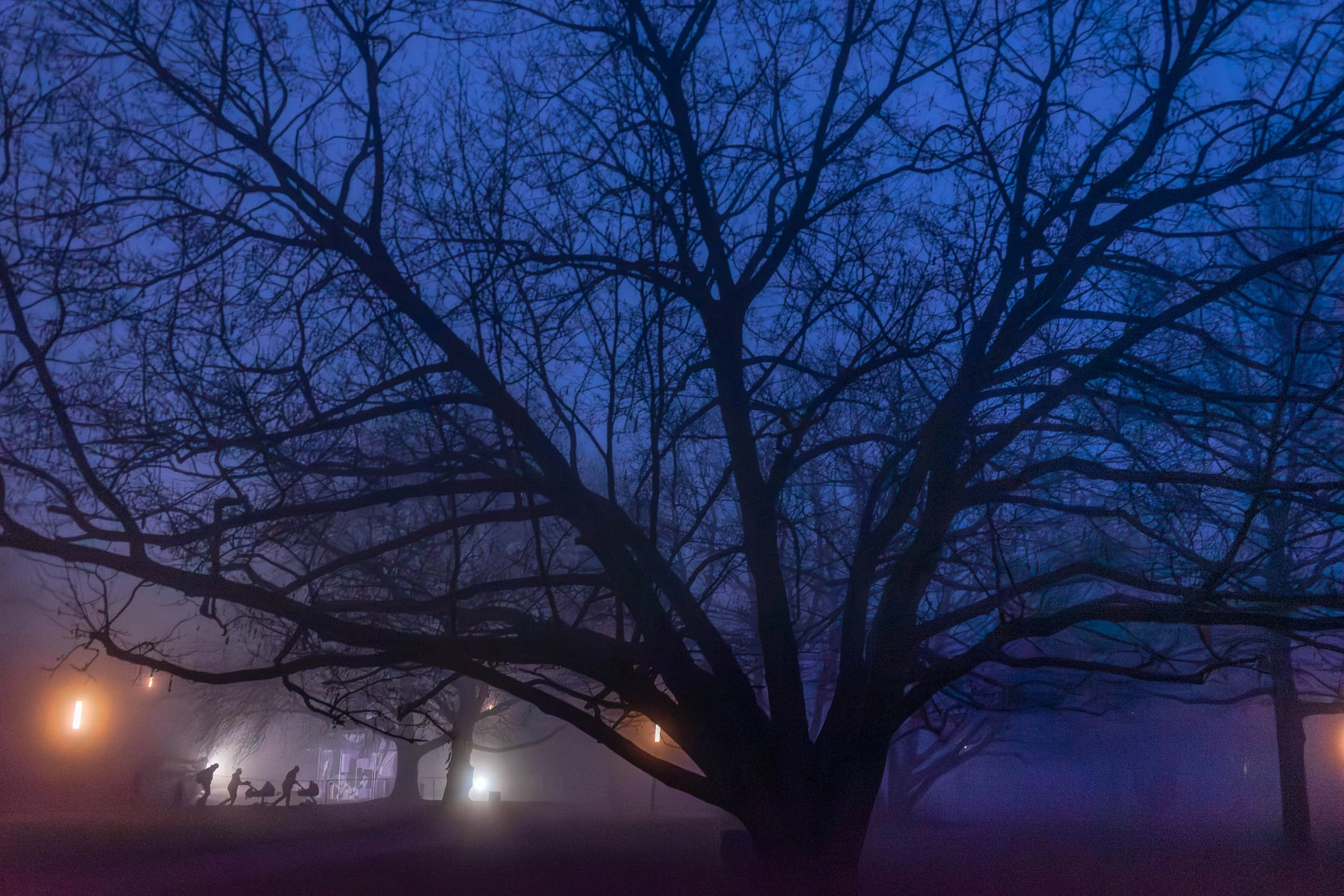 Dark silhouette of a large, leafless tree against a foggy evening sky, with hints of blue and purple. In the background, streetlights and a lit-up building can be seen, along with a group of children playing on a swing set.