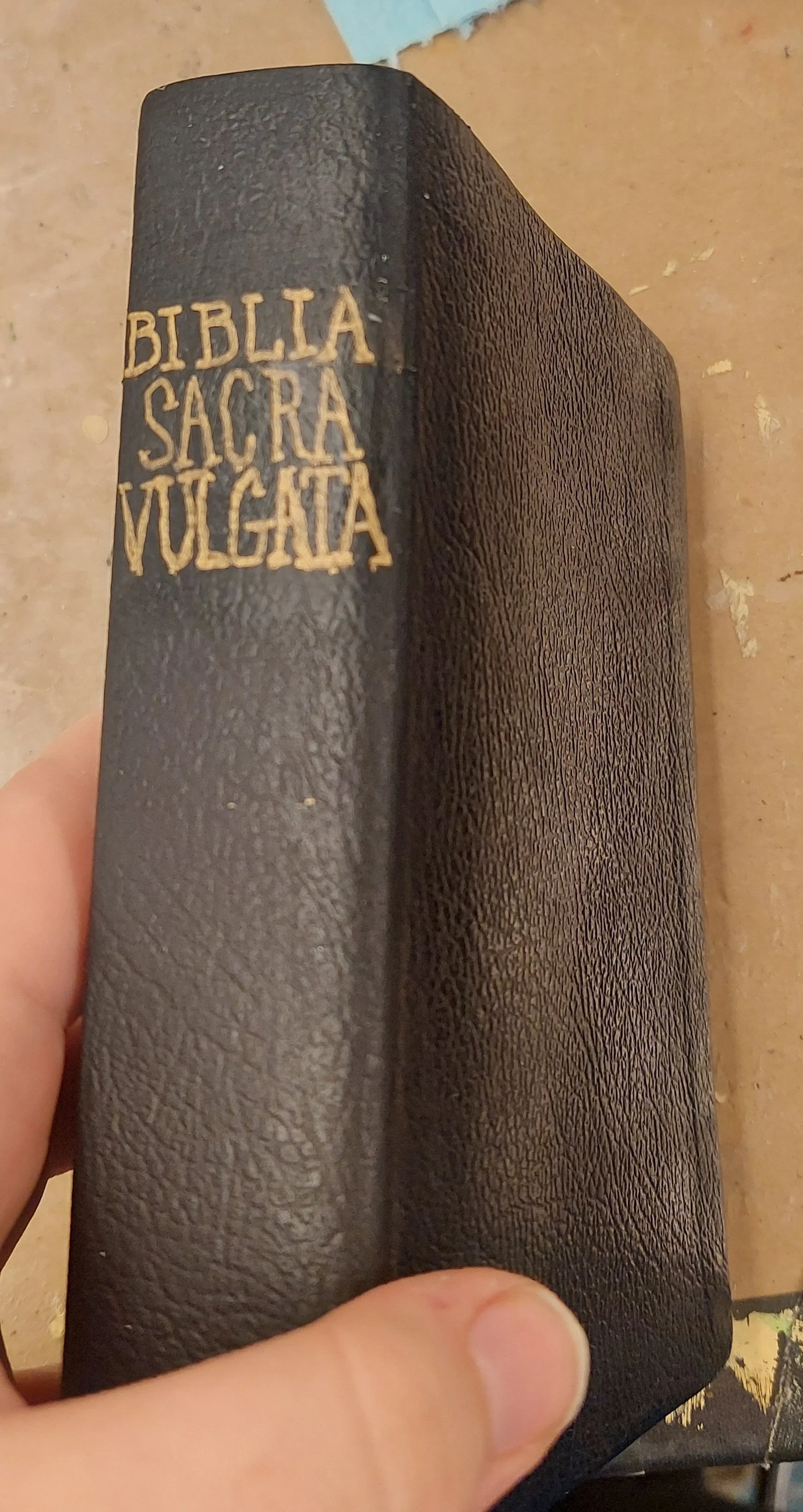 Retitled bibles, two different sizes, using fine tip gold pen, black paint, and masking tape. Small bible: spine only.