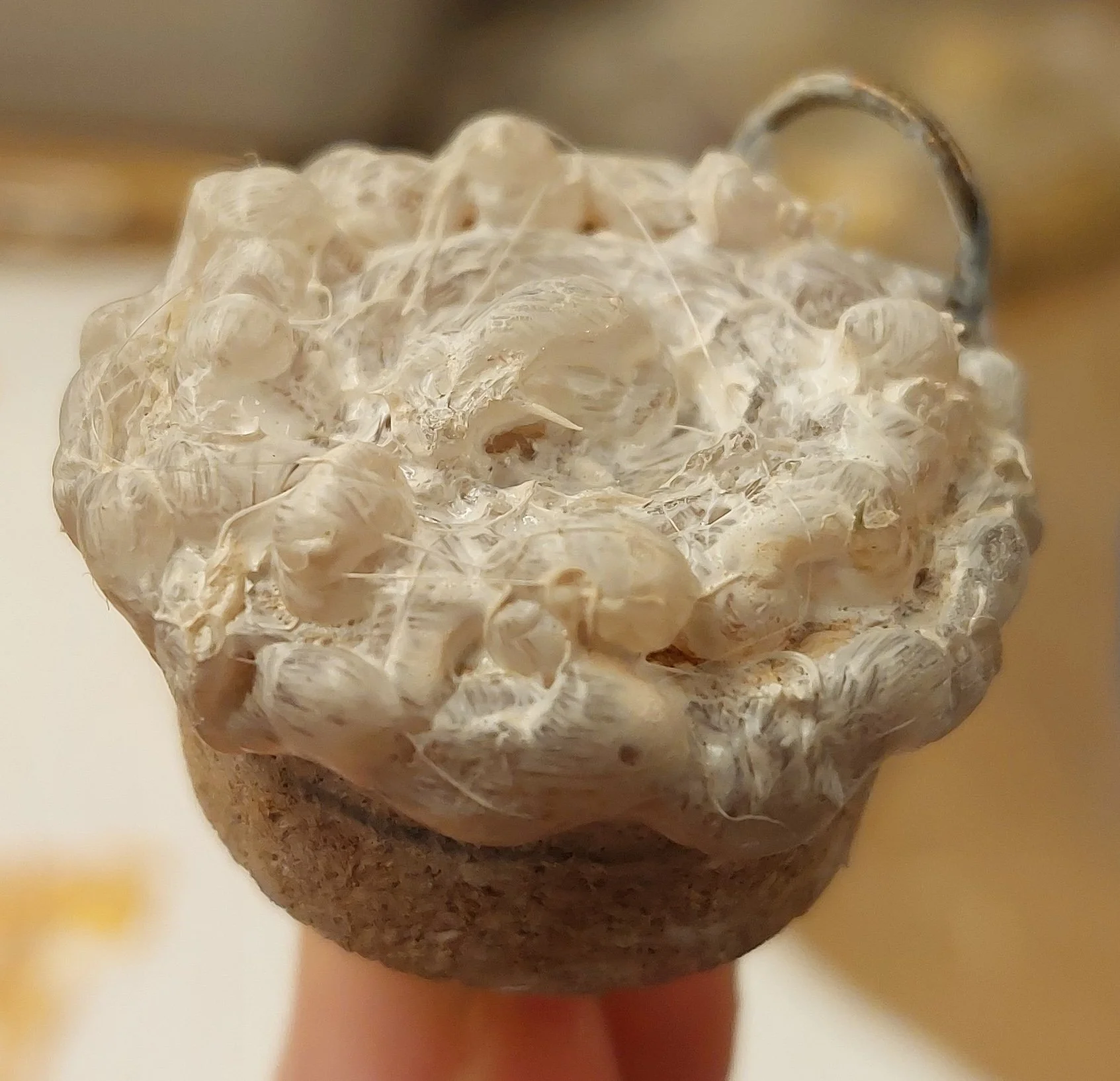 Cap for the poison bottle, made of cork with modeled hot glue, which was then primed and painted gold. Metal loop embedded on one side so that a piece of ribbon could connect the cap and bottle.
