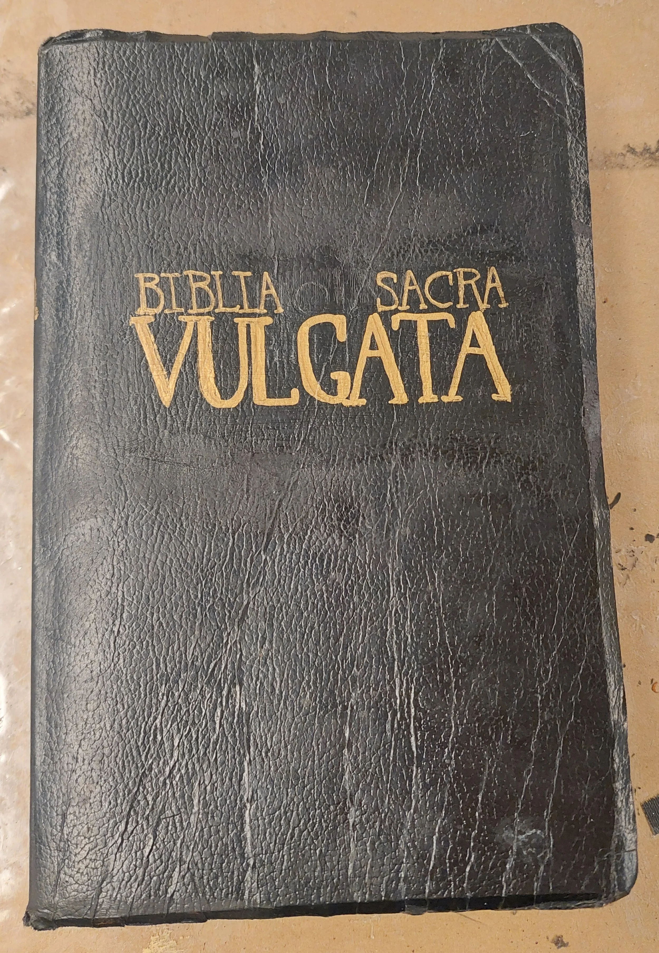 Large bible cover. Gently removed pre-existing gold lettering on both and minimally painted over it.