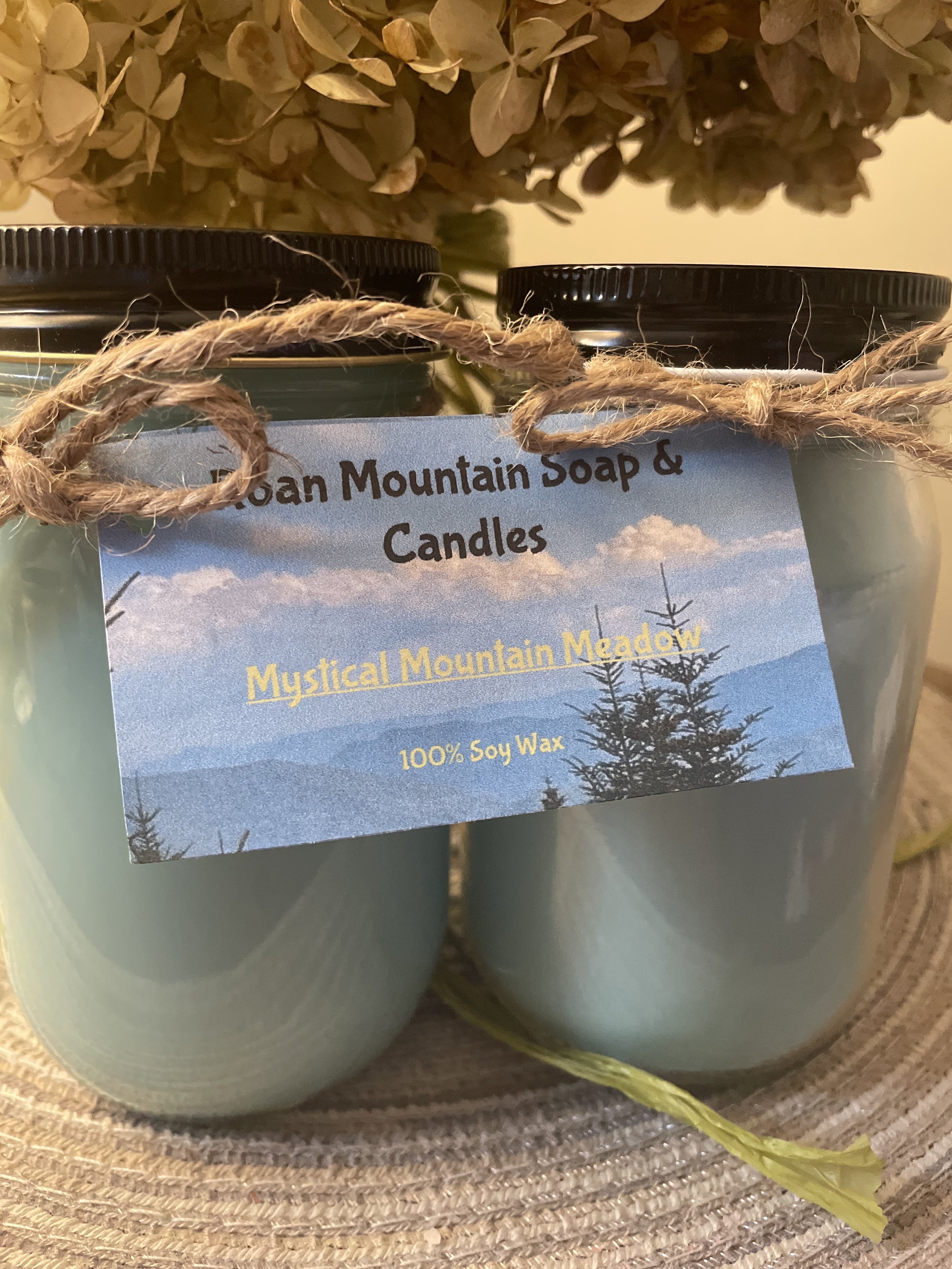 14. Mystical Mountain Meadow_.jpg