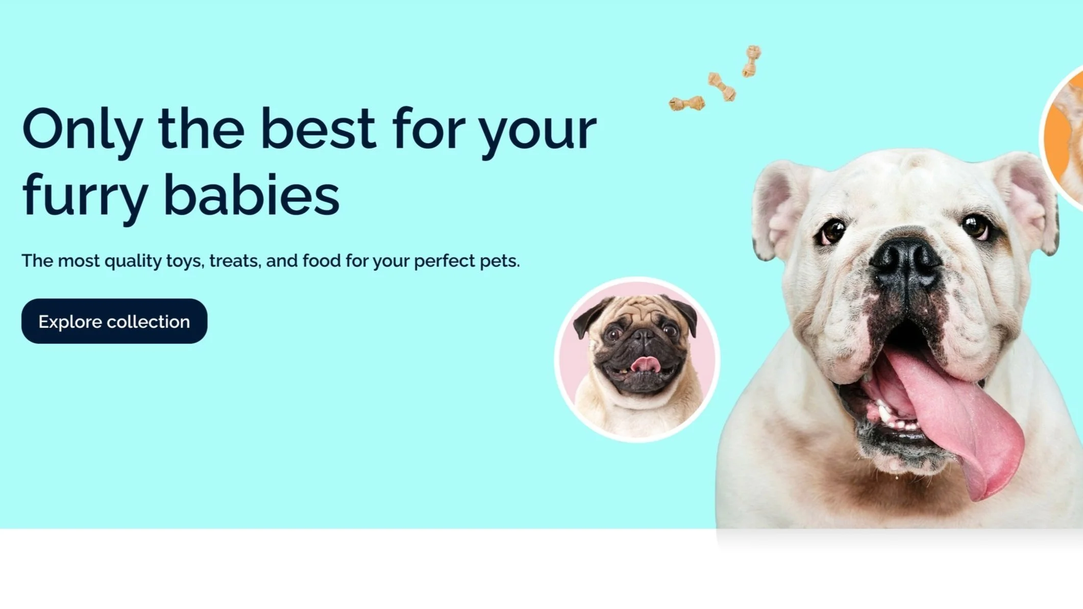 Promotional image with bulldog and pug, text "Only the best for your furry babies," and button "Explore collection."