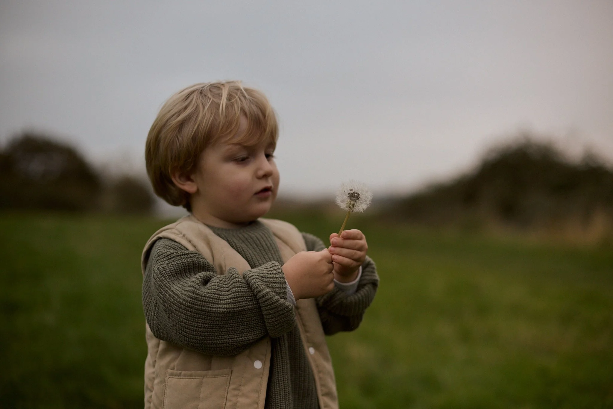 A young boy with light brown hair in a beige jacket and dark gray sweater holding a dandelion in an open grassy field during overcast weather.