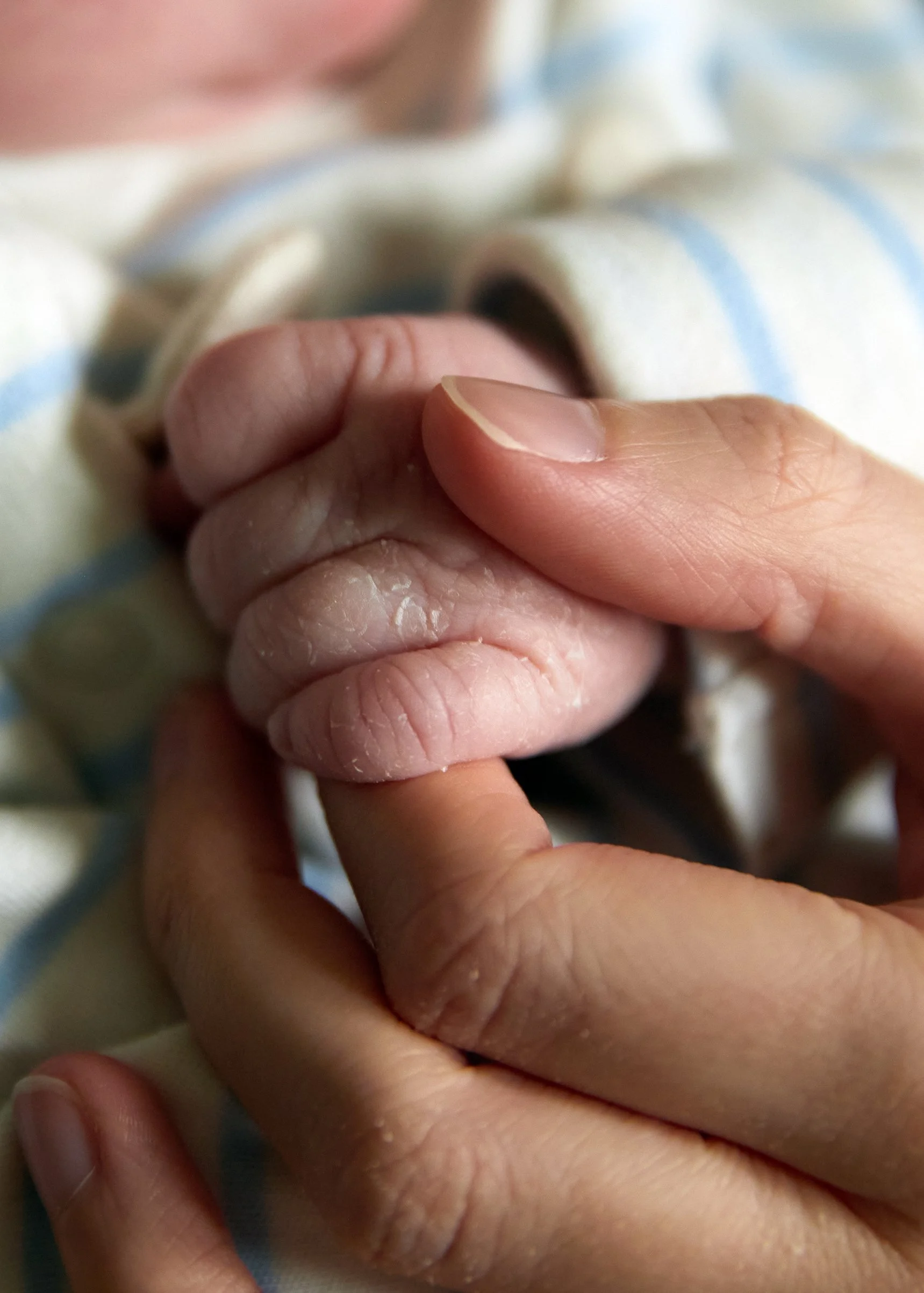 Close-up of an adult's finger gently holding the tiny hand of a newborn baby.