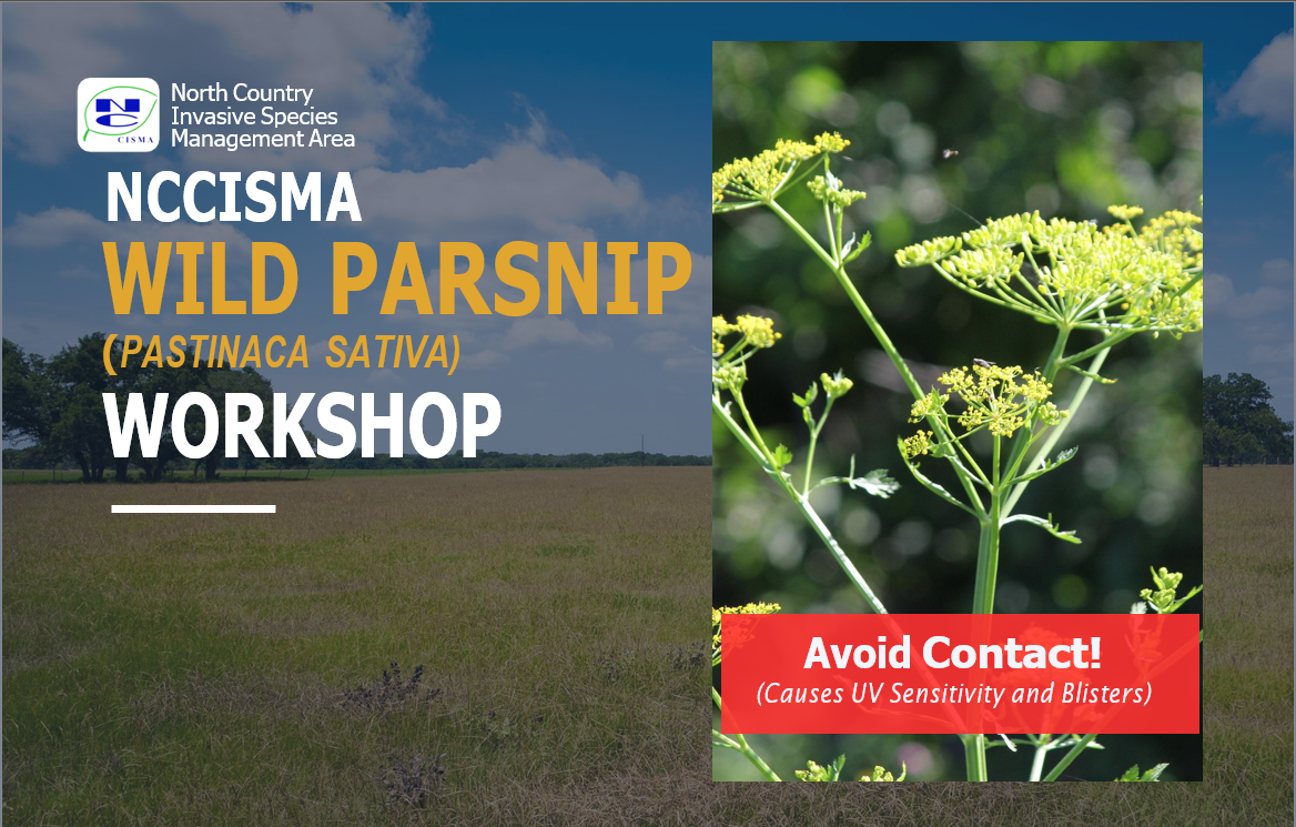 NCCISMA Wild Parsnip Workshop