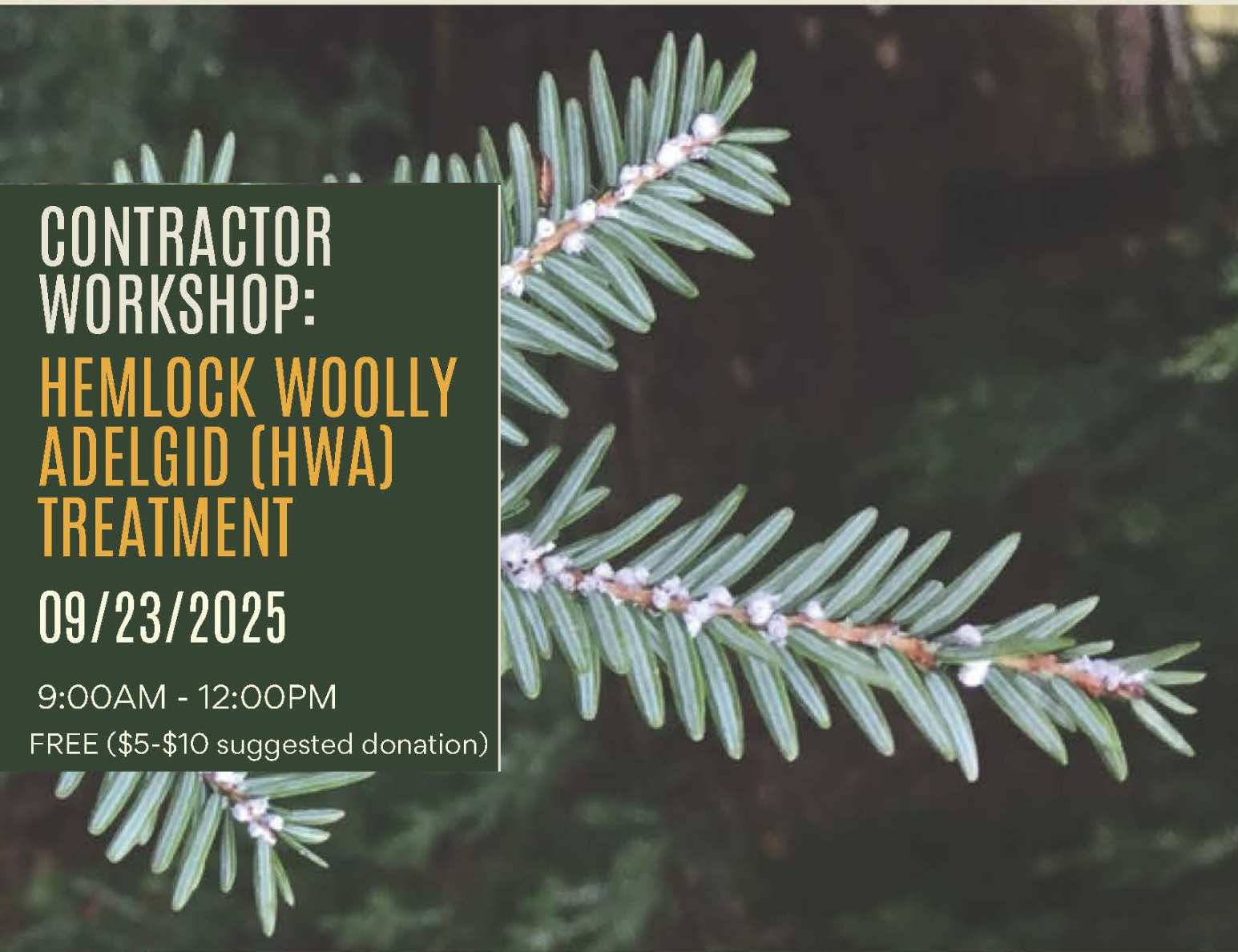 Hemlock Woolly Adelgid Treatment - Contractor Workshop