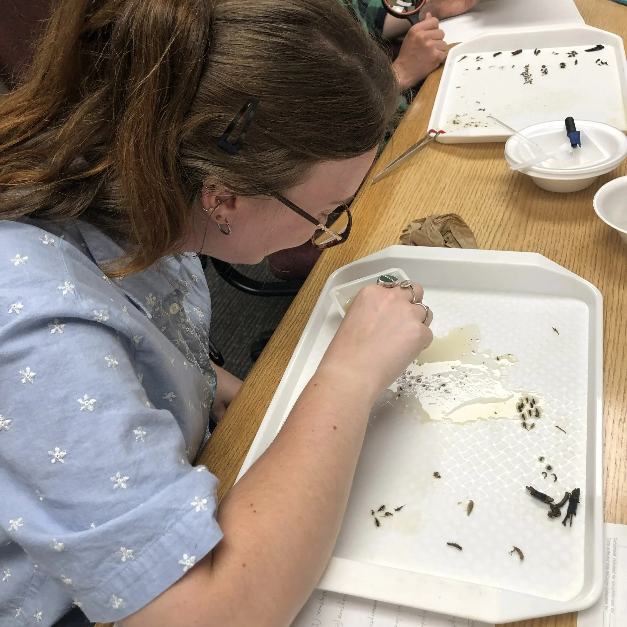 Stream Monitoring Workshop