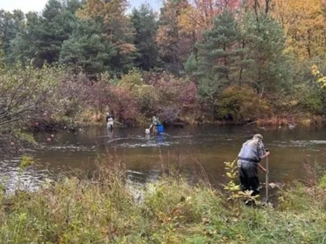 Little Manistee River Macroinvertebrate Sampling