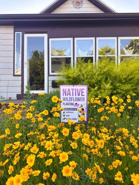 Native-Wildflower-Planting-Sign_4_548x730.jpg
