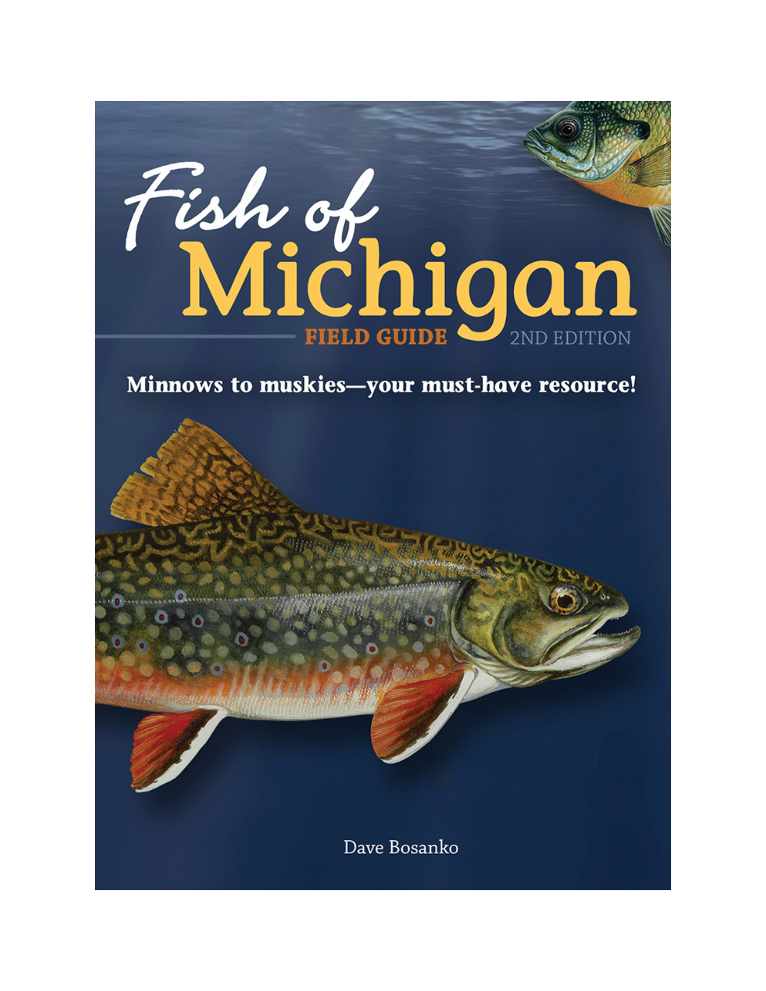 Fish of Michigan FG.png
