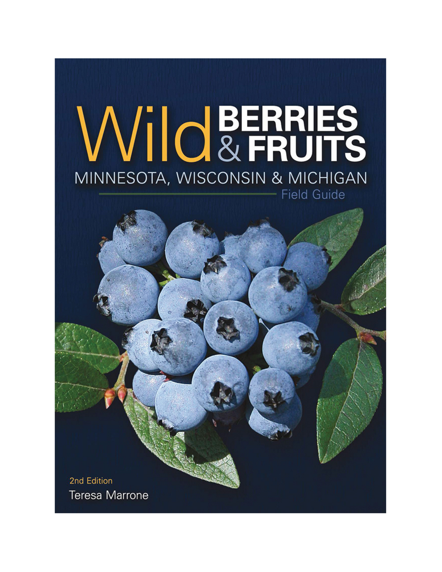 Wild Berries & Fruits FG.png